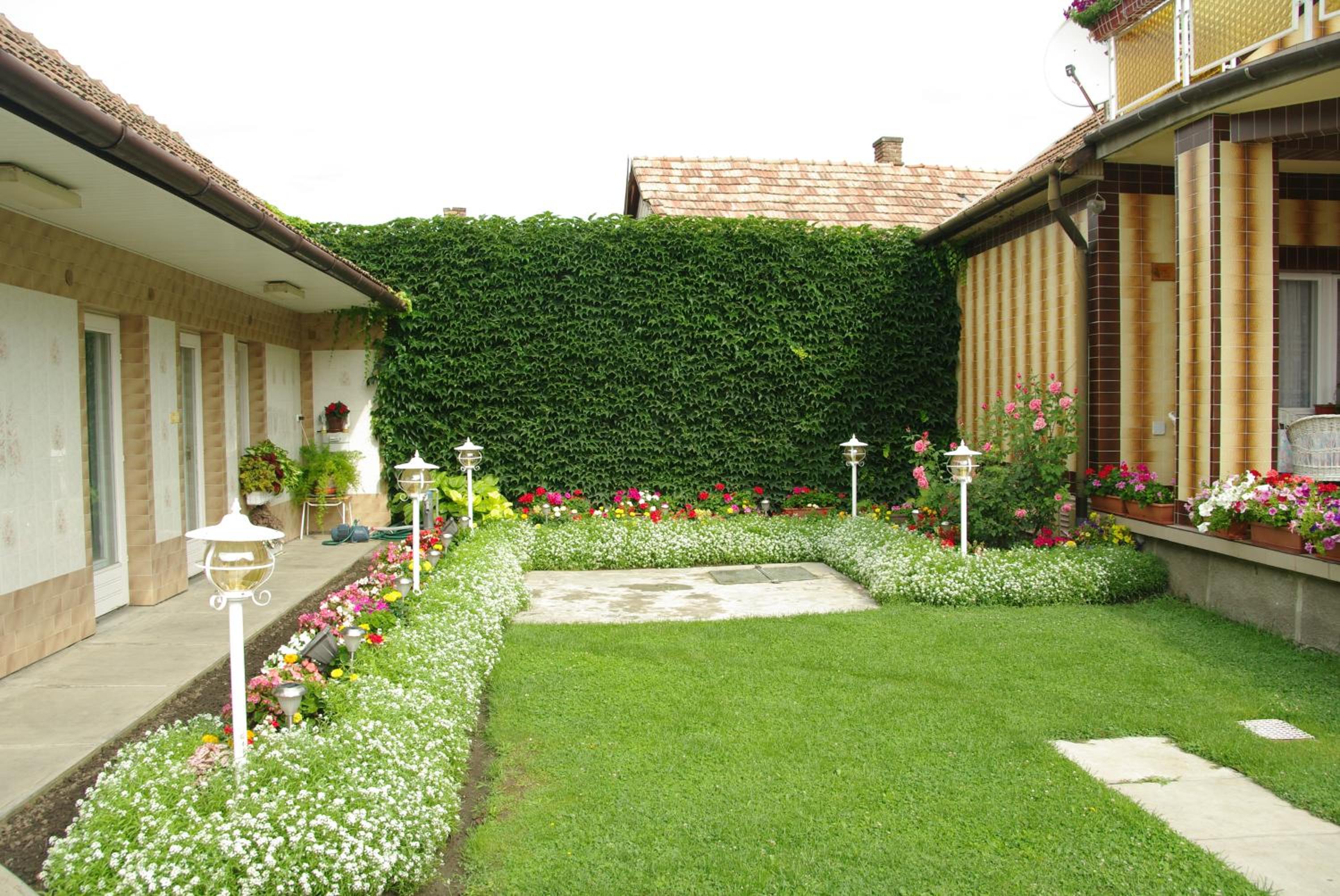 Photo 26