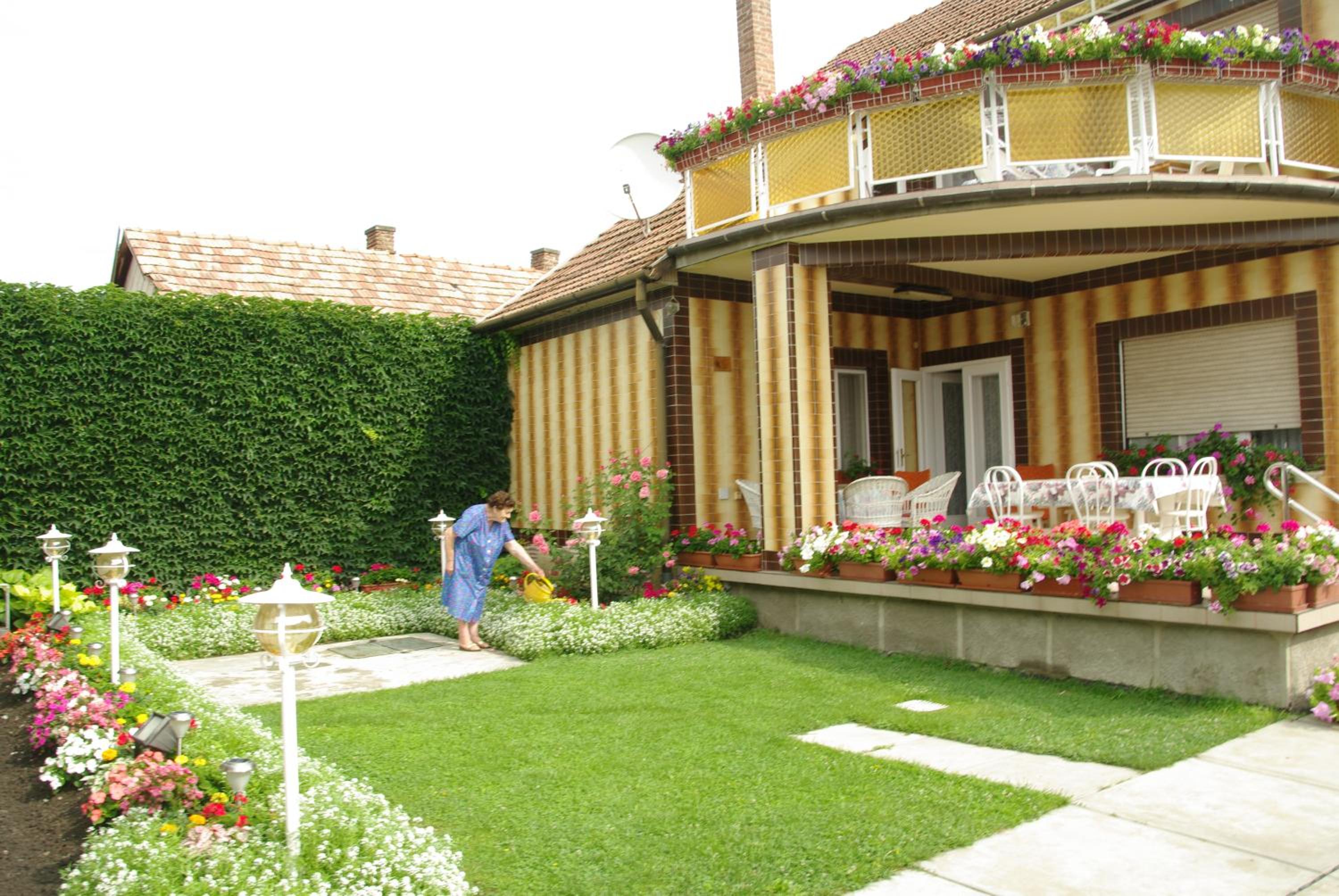 Photo 29