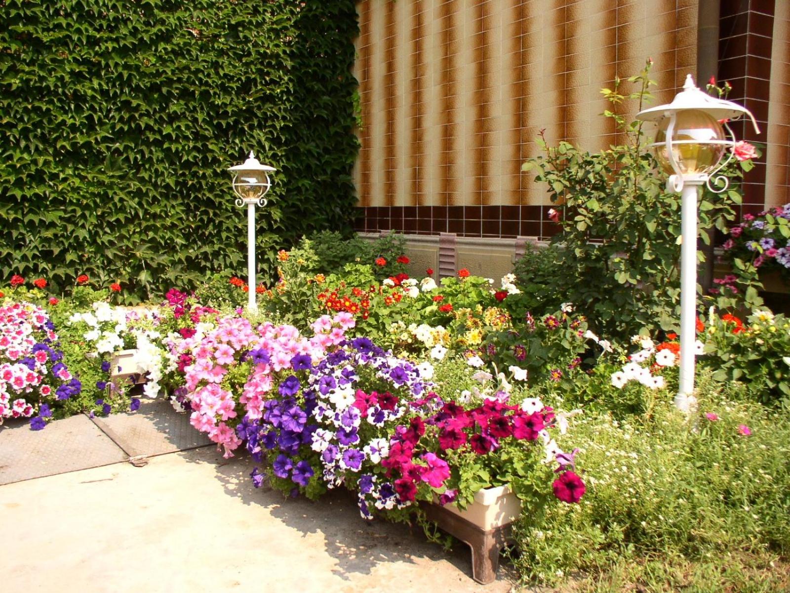 Photo 43