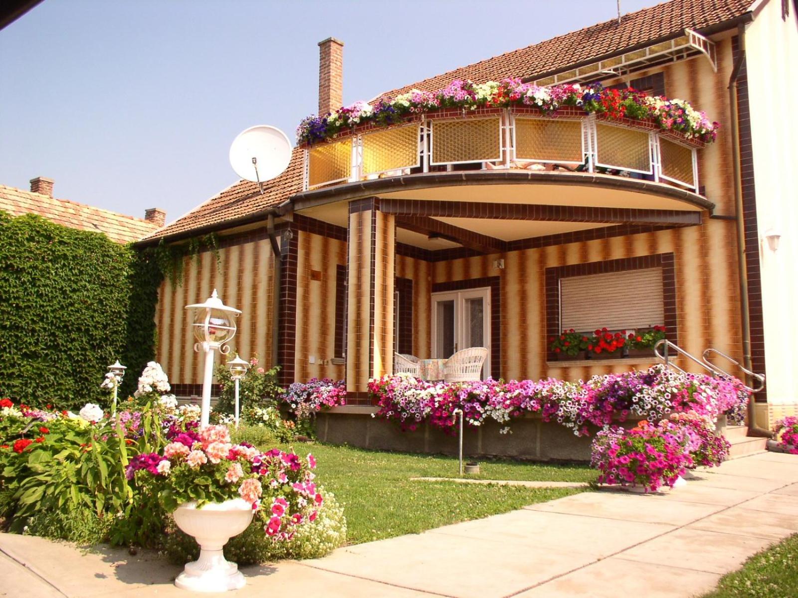 Photo 45