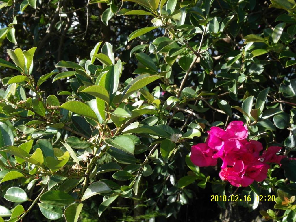 Photo 27