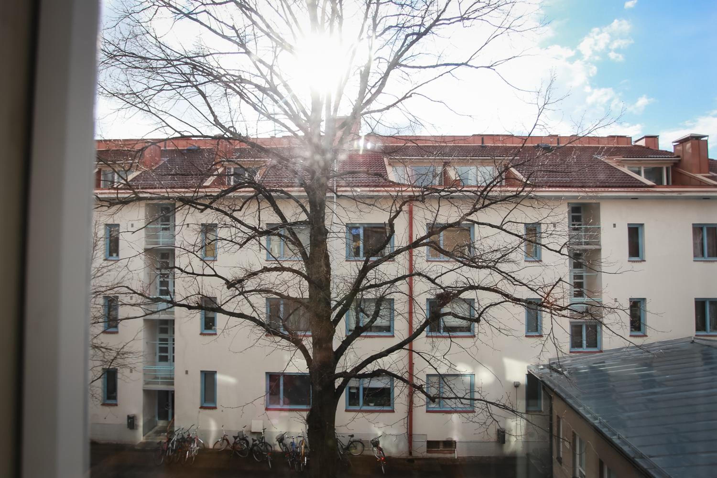 Cozy studio next to bus station host by B&B Tuure view 3