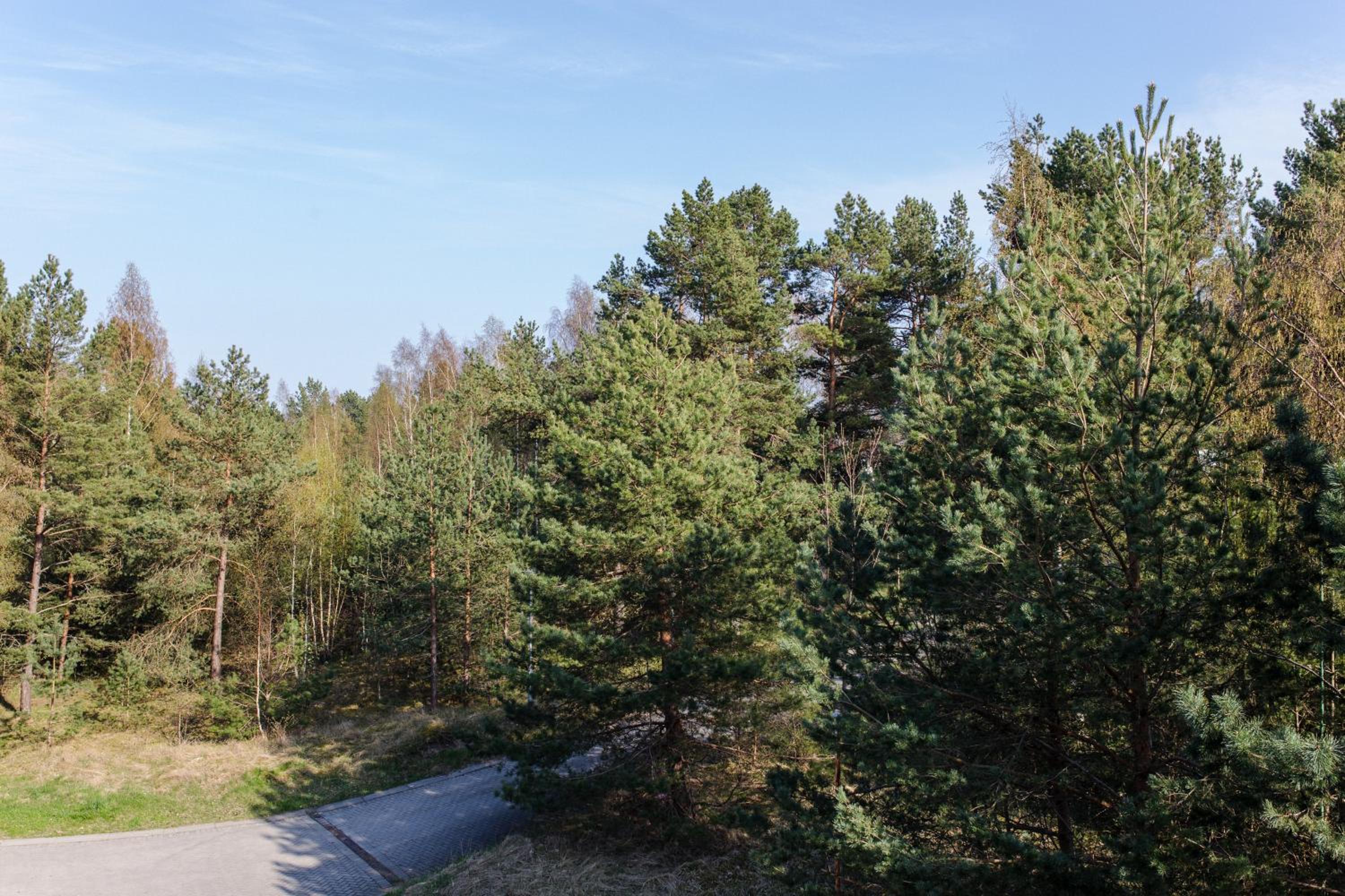 Apartamentai Nidoje ant kalno