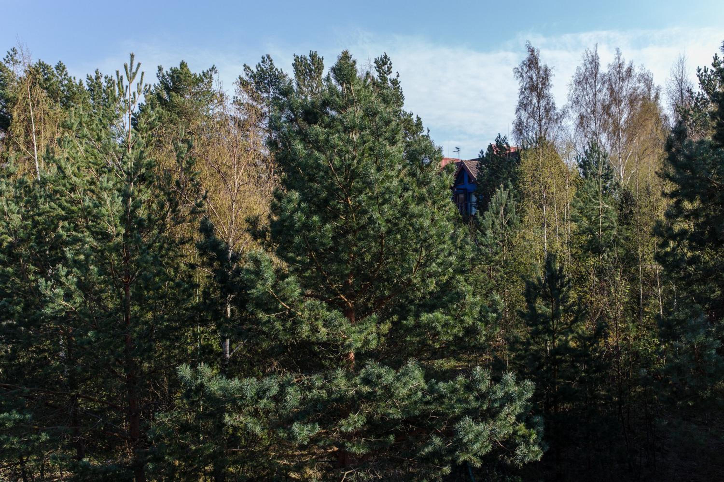 Apartamentai Nidoje ant kalno