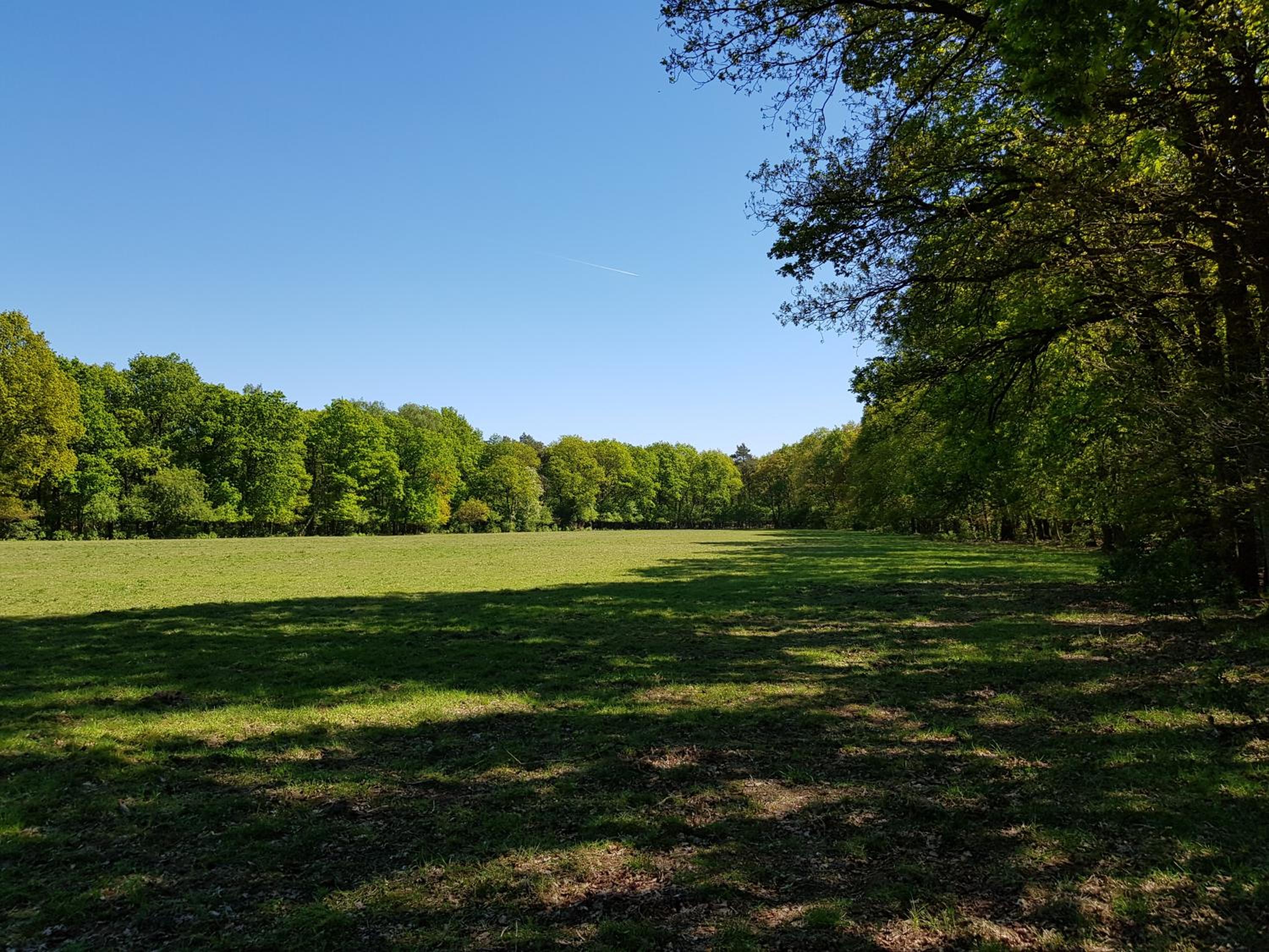 Knusse Natuur Bungalow Hartje Veluwe