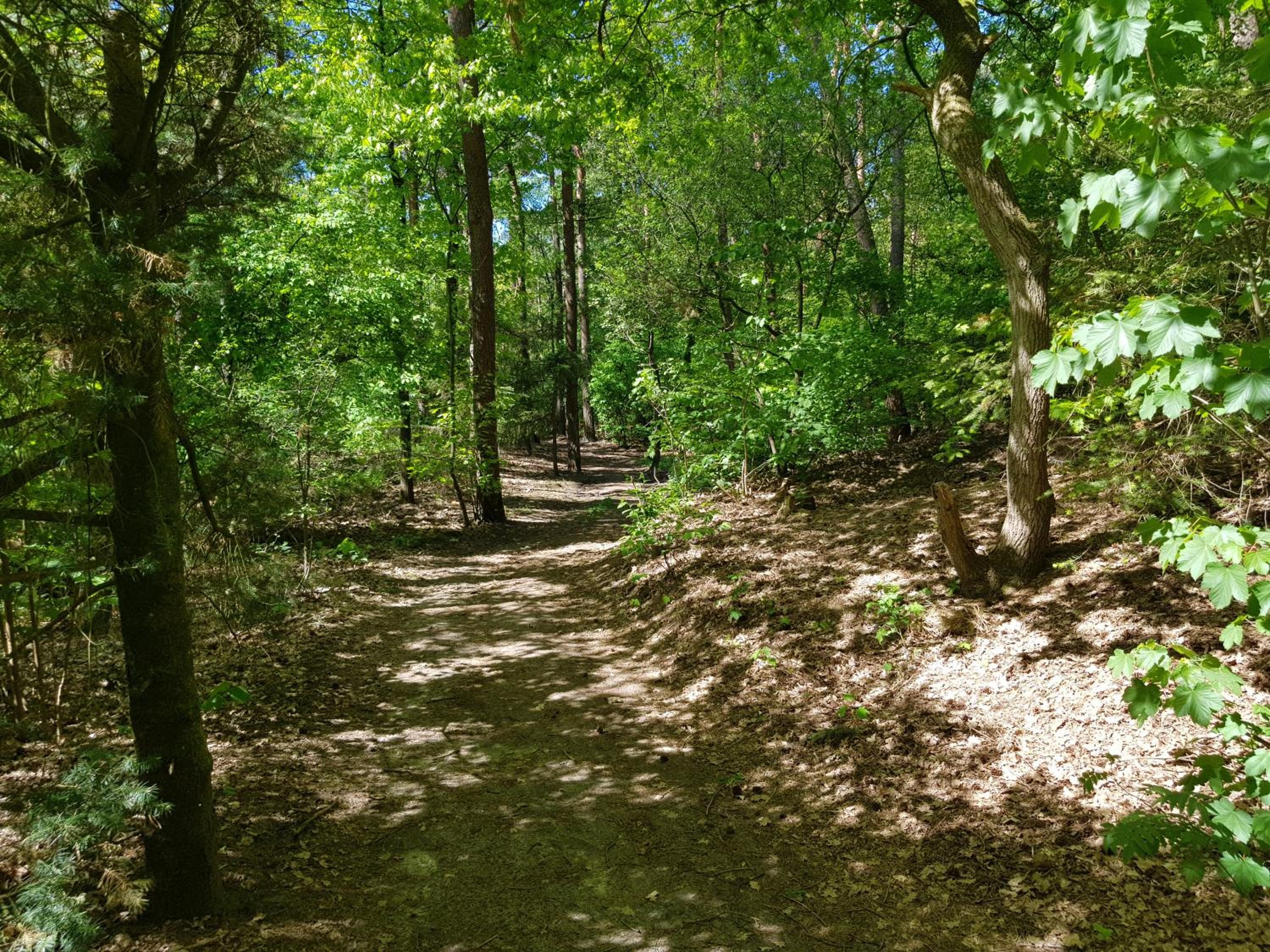 Photo 21