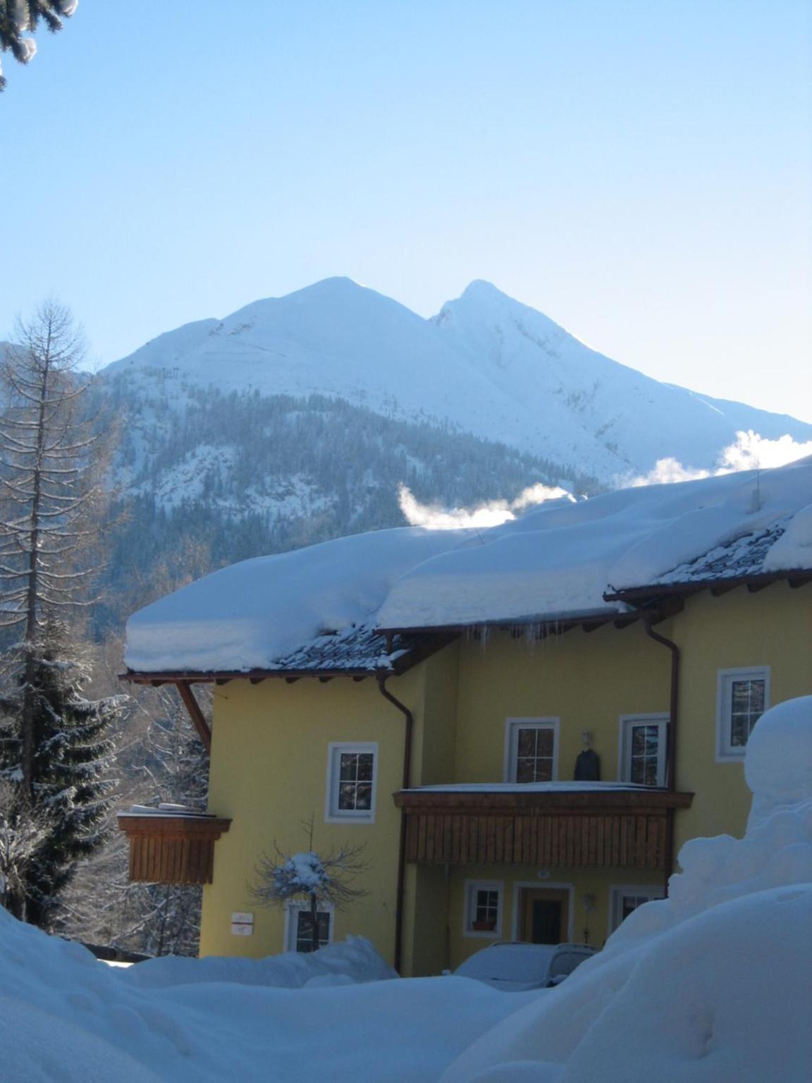 Haus Elisengrund am Geigenbuehel - chalet privé