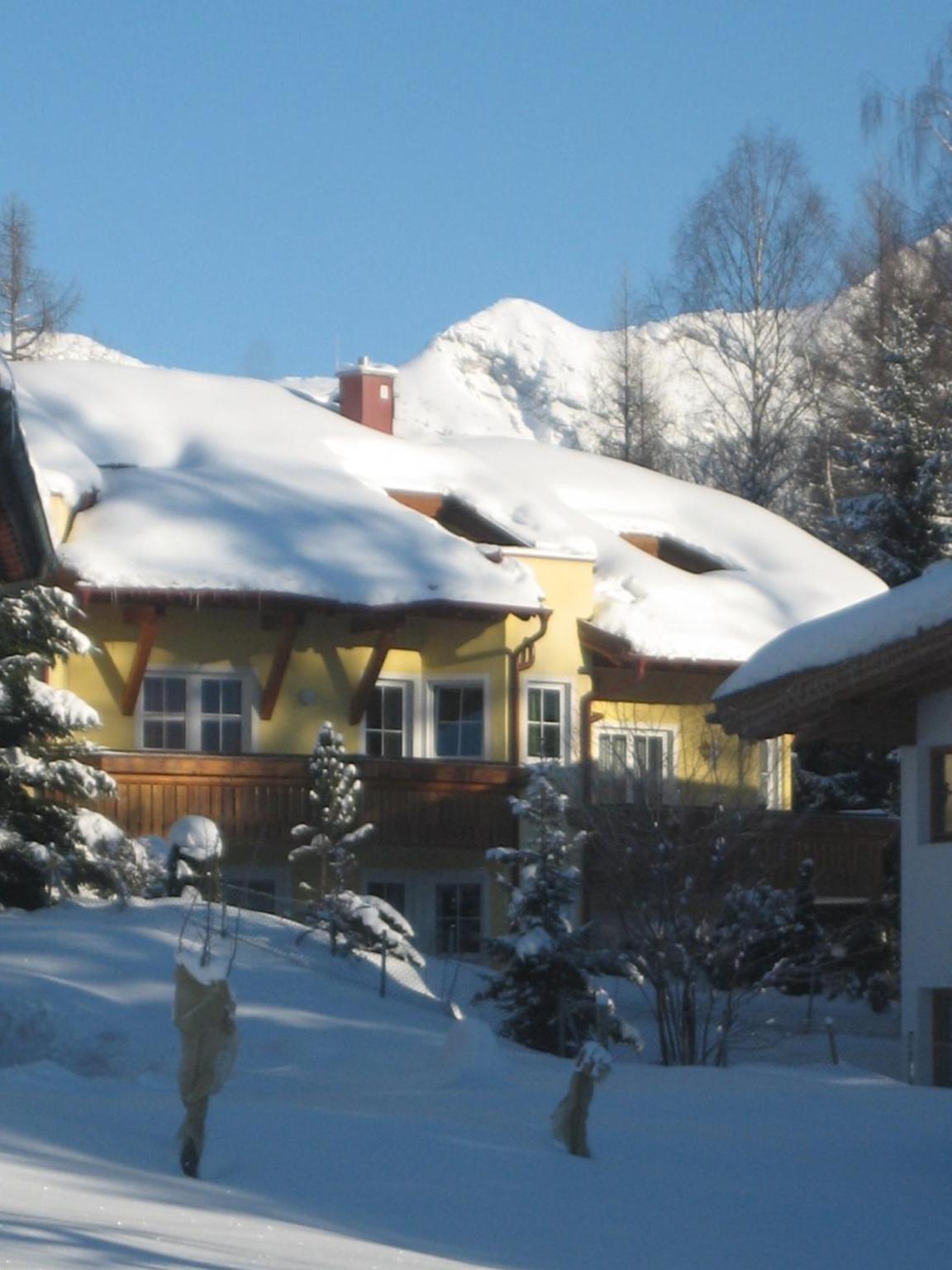 Haus Elisengrund am Geigenbuehel - chalet privé