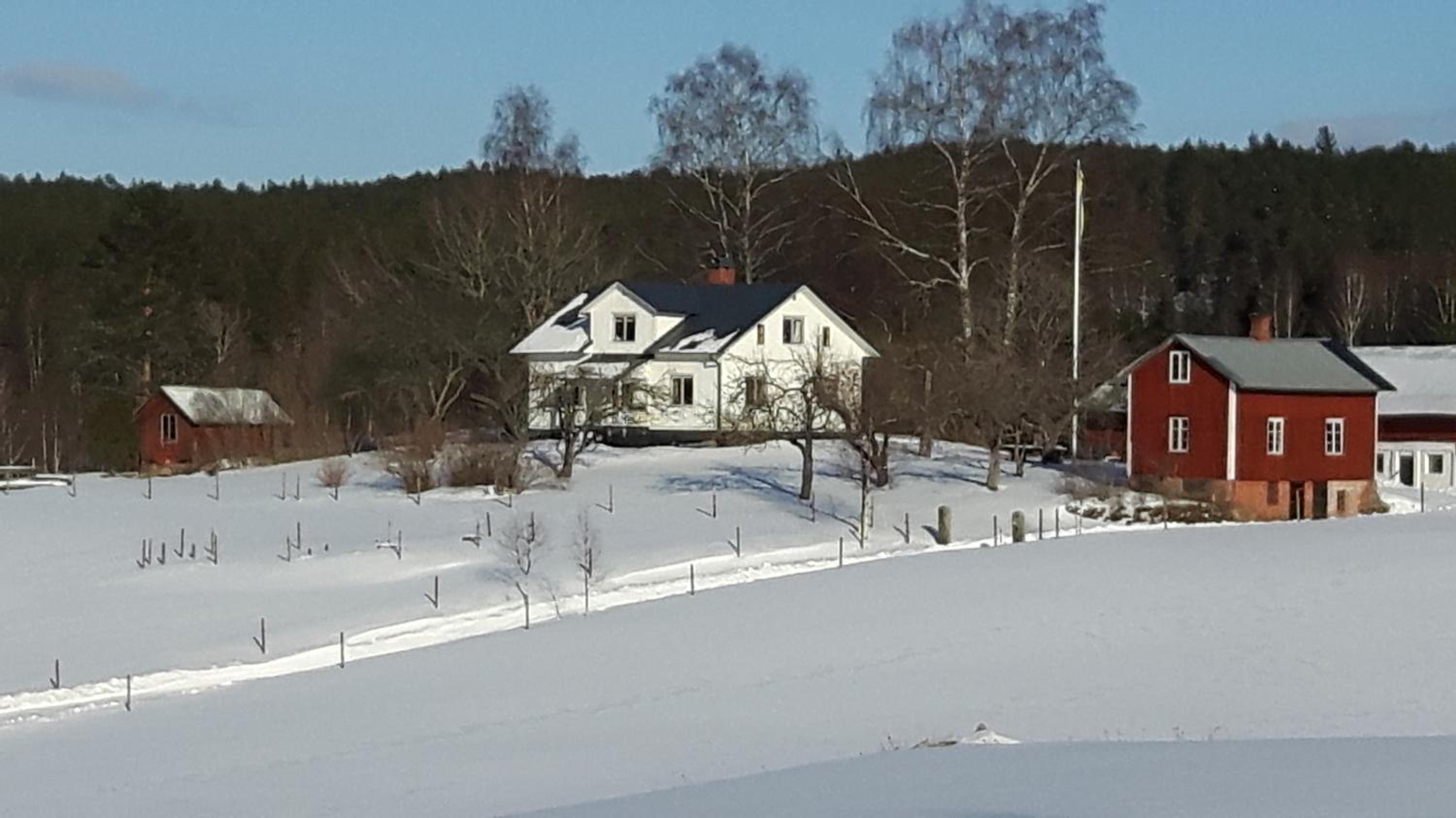 The Sheep Inn B&B view 2