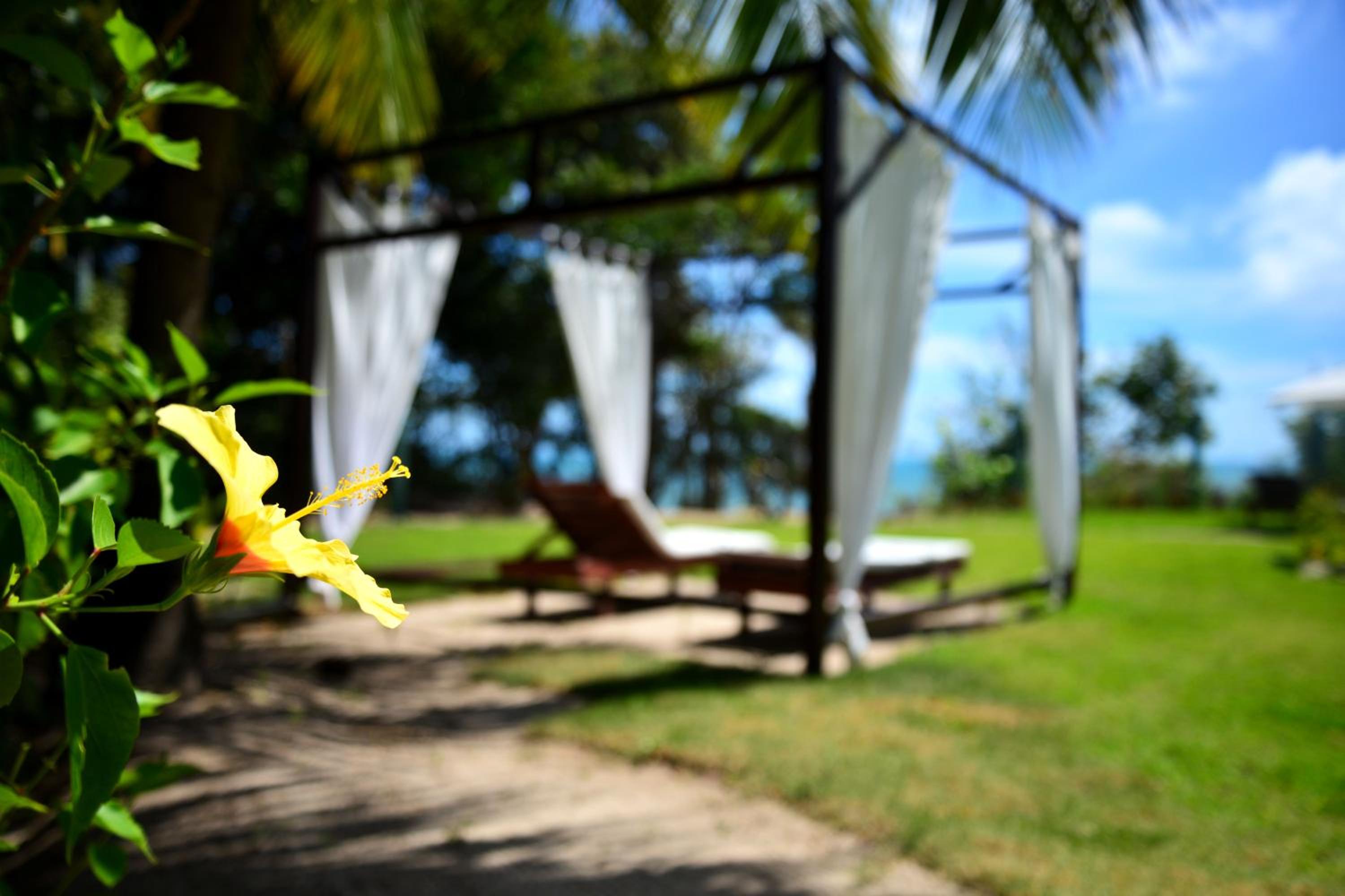Pousada Enseada Dos Golfinhos