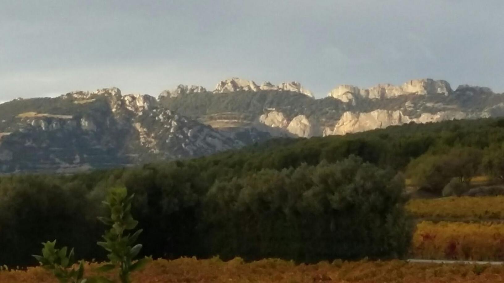 La Dentellière view 5