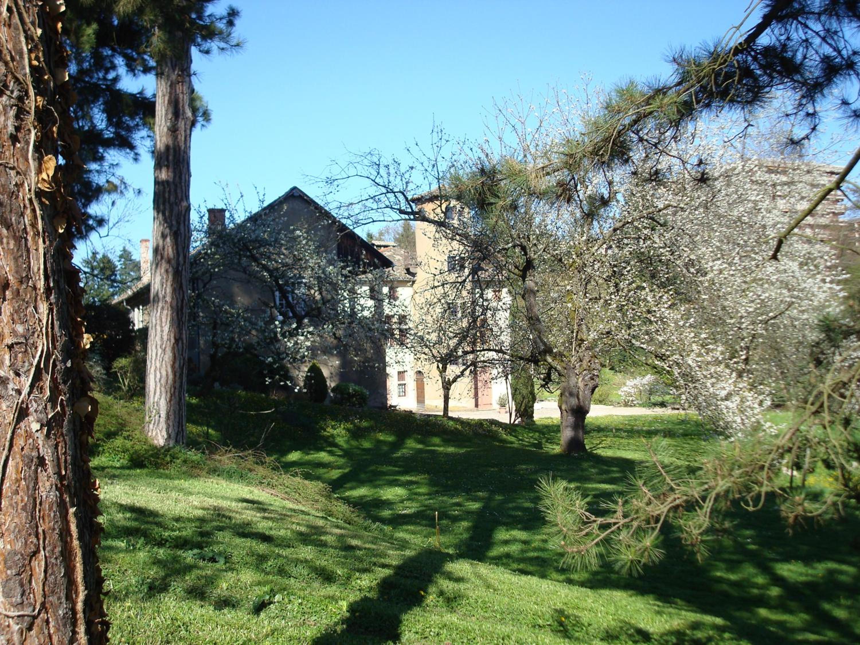 Photo 20
