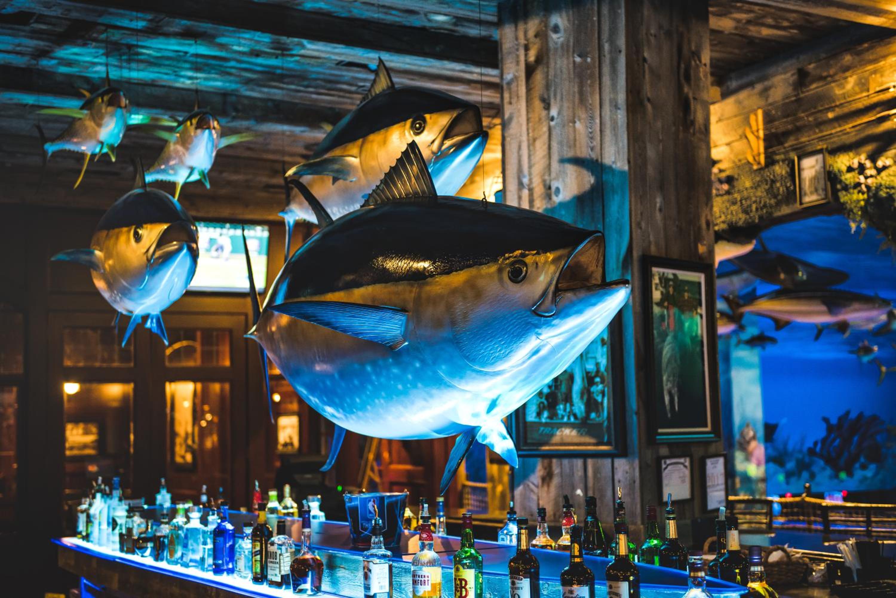Big Cypress Lodge