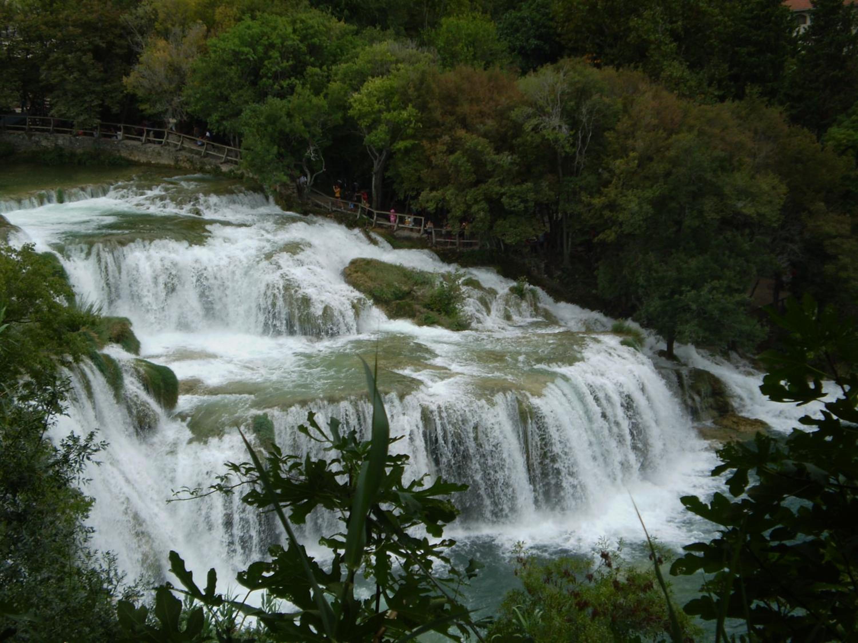 Photo 40