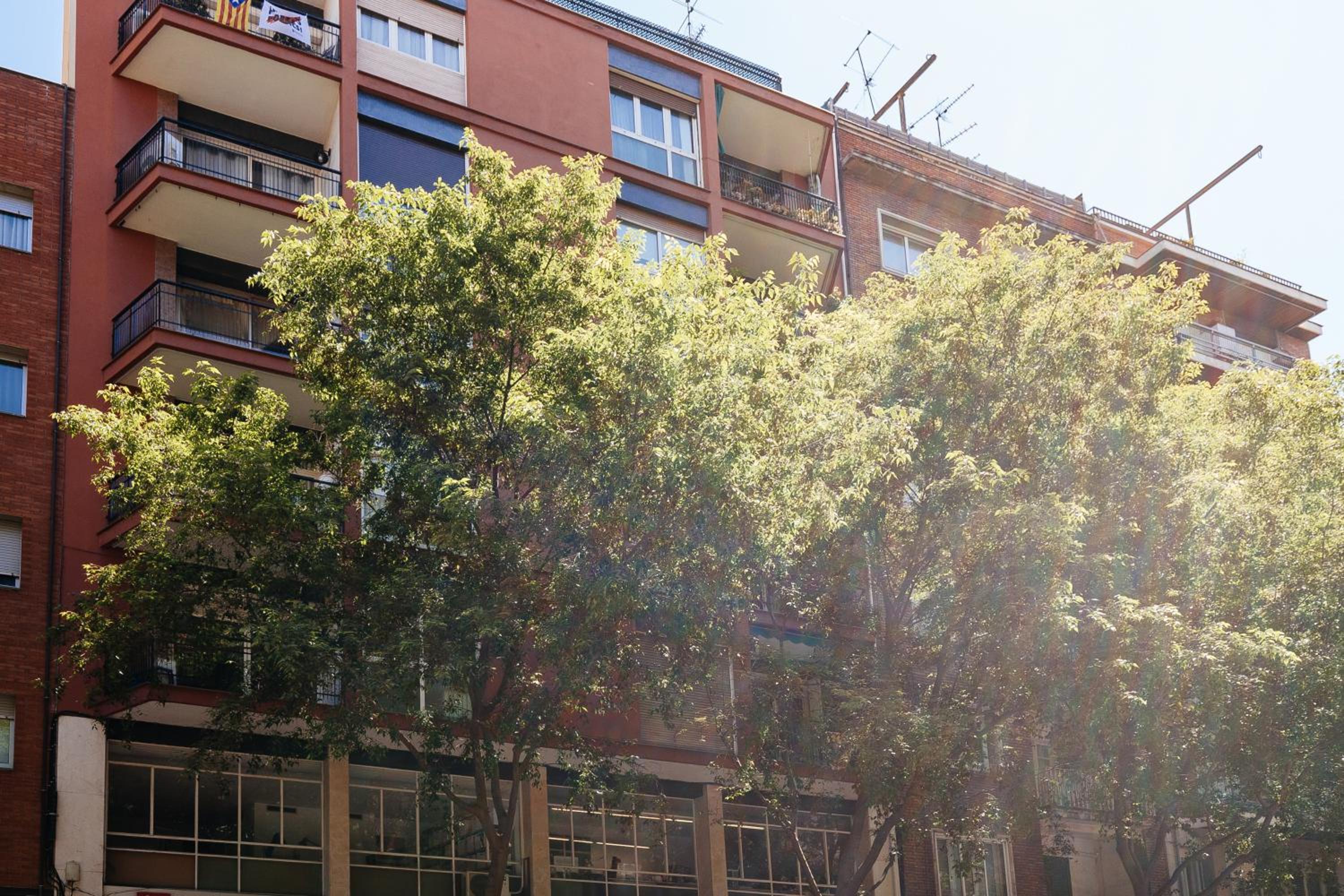 Apartamento Guillermo Tell