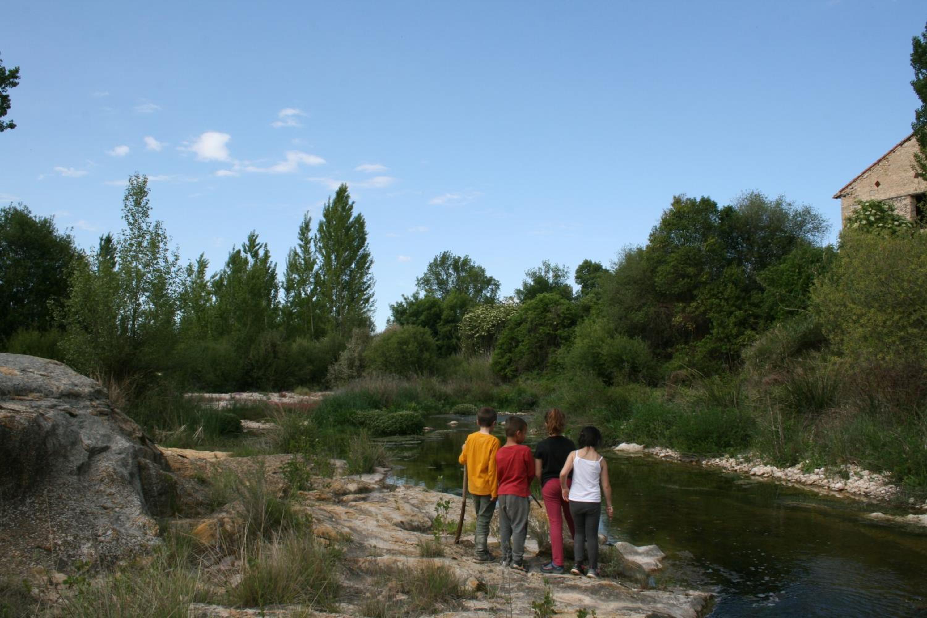 Photo 17