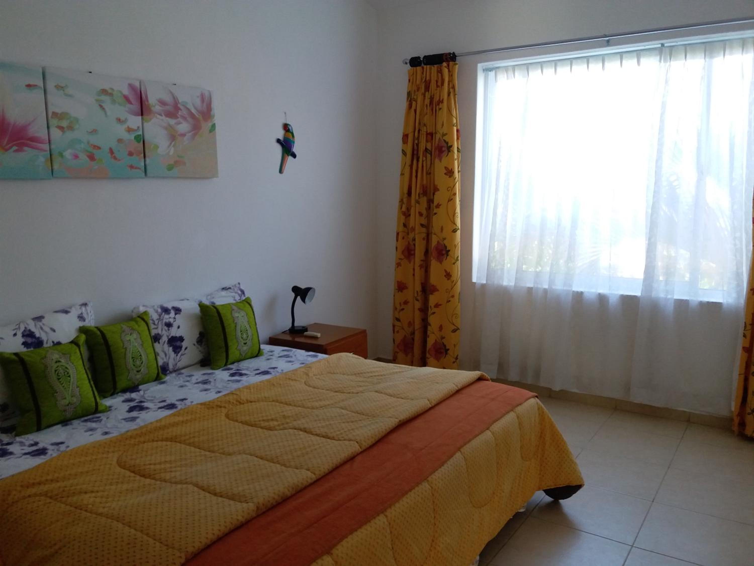 La Salamandra, photo 20