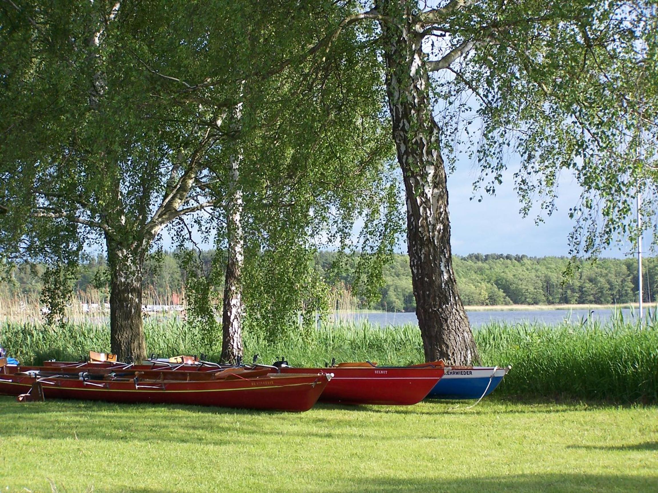 Photo 47