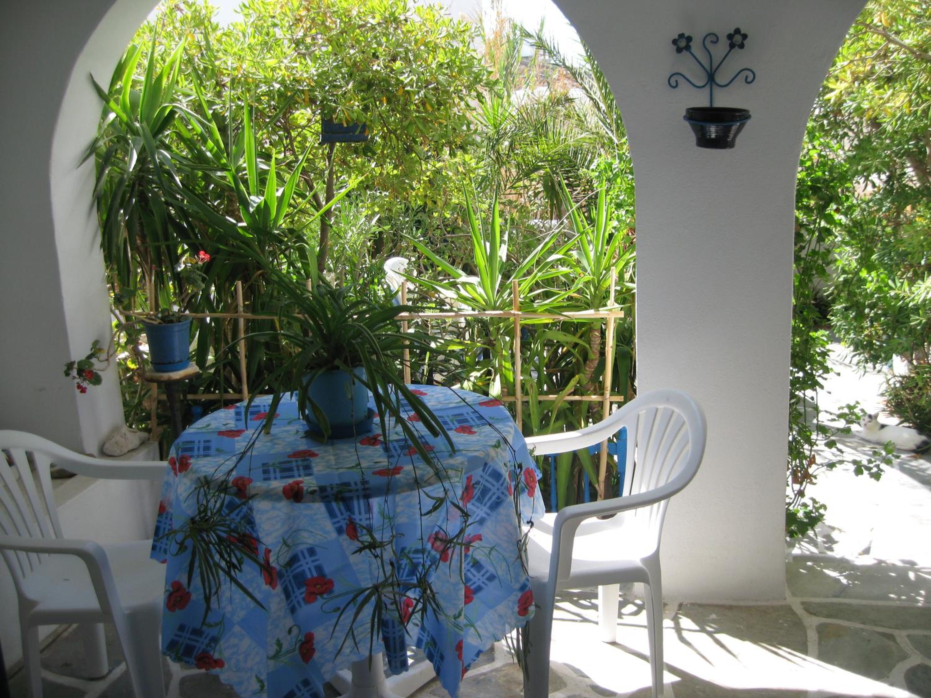 Photo 40