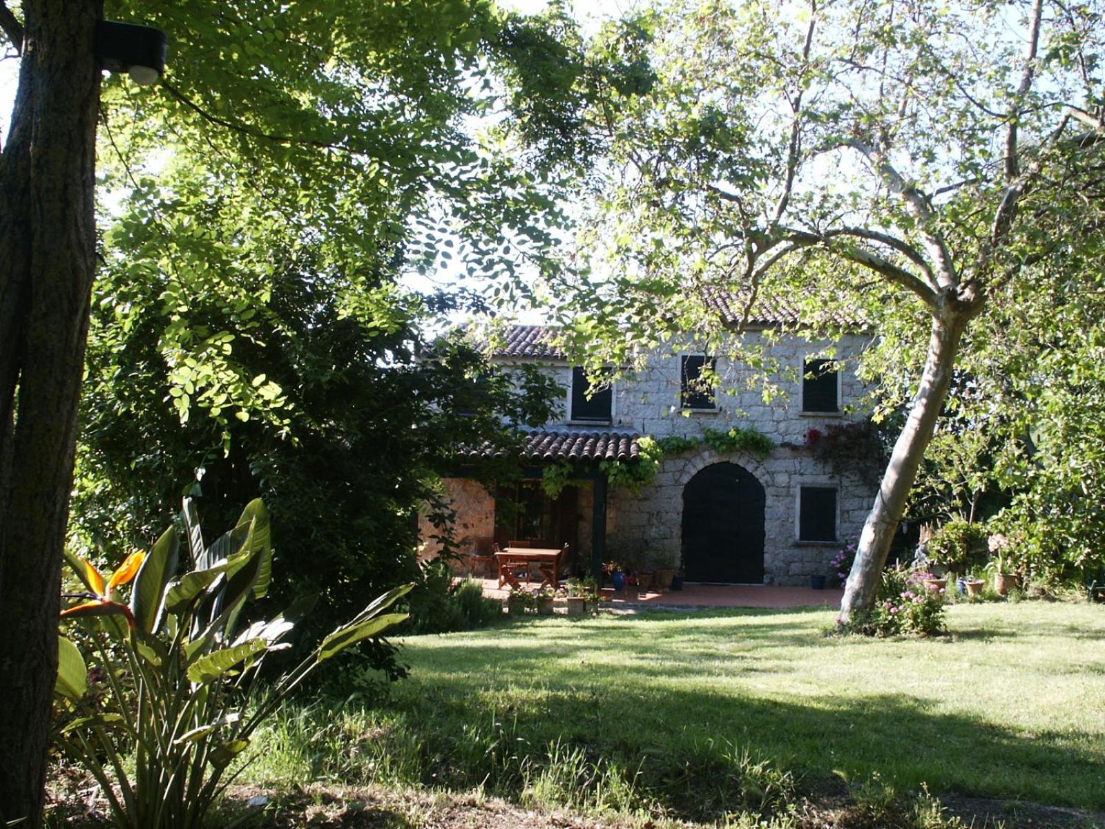 Photo 28