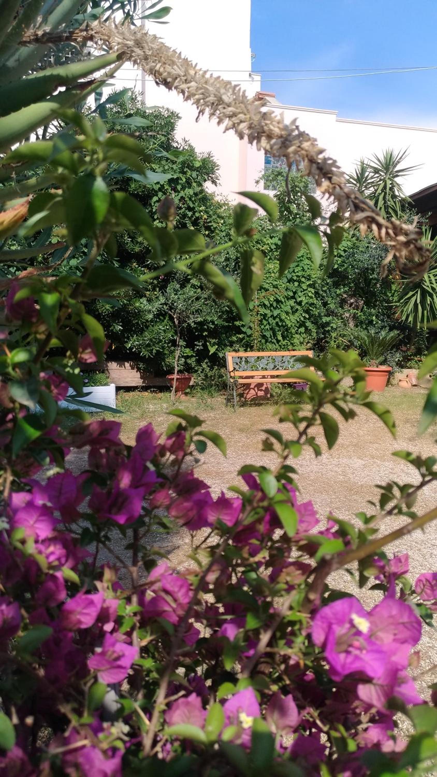 Agriturismo Palese