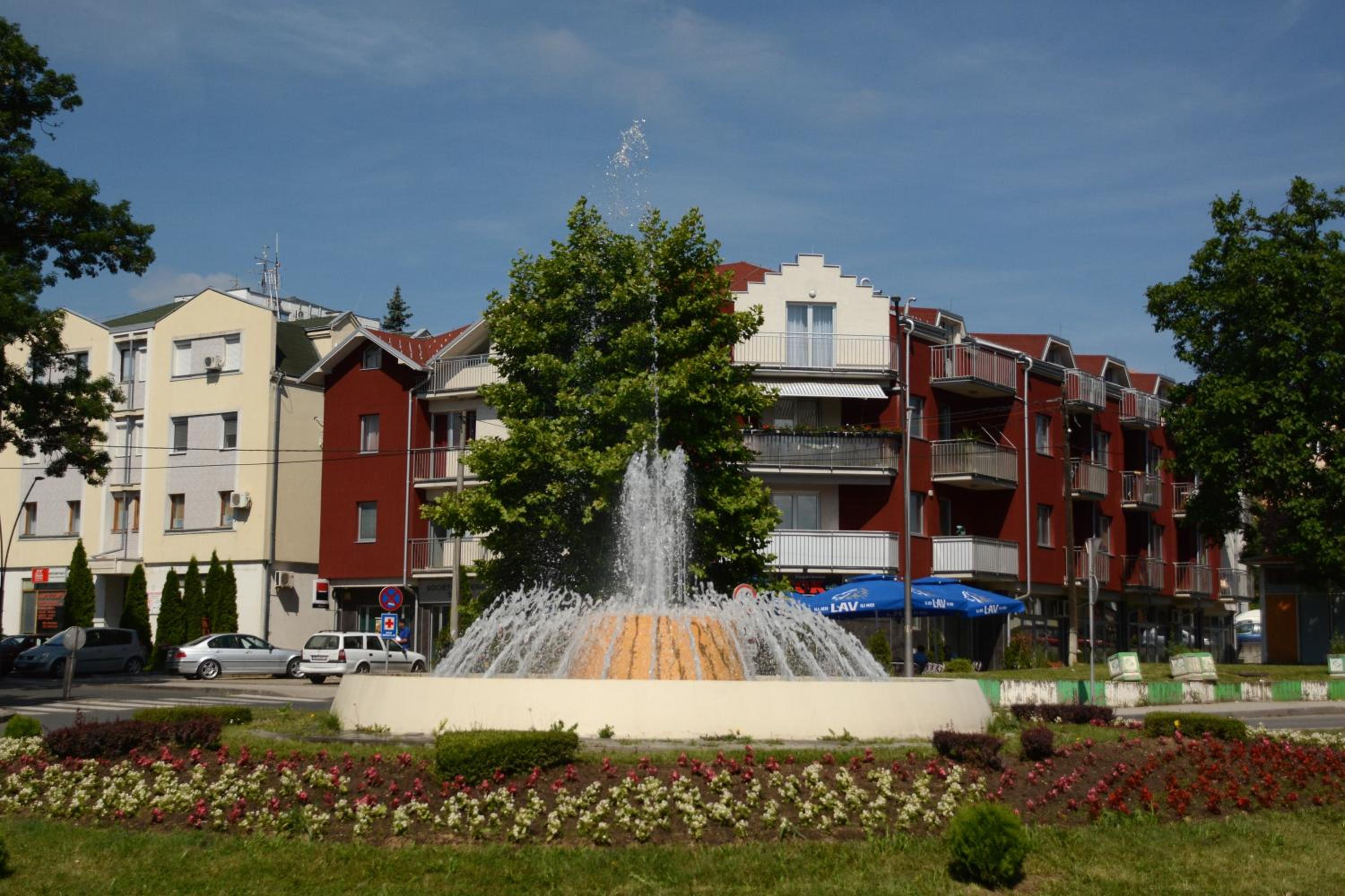 Photo 16