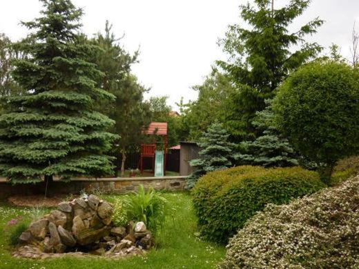 Photo 24