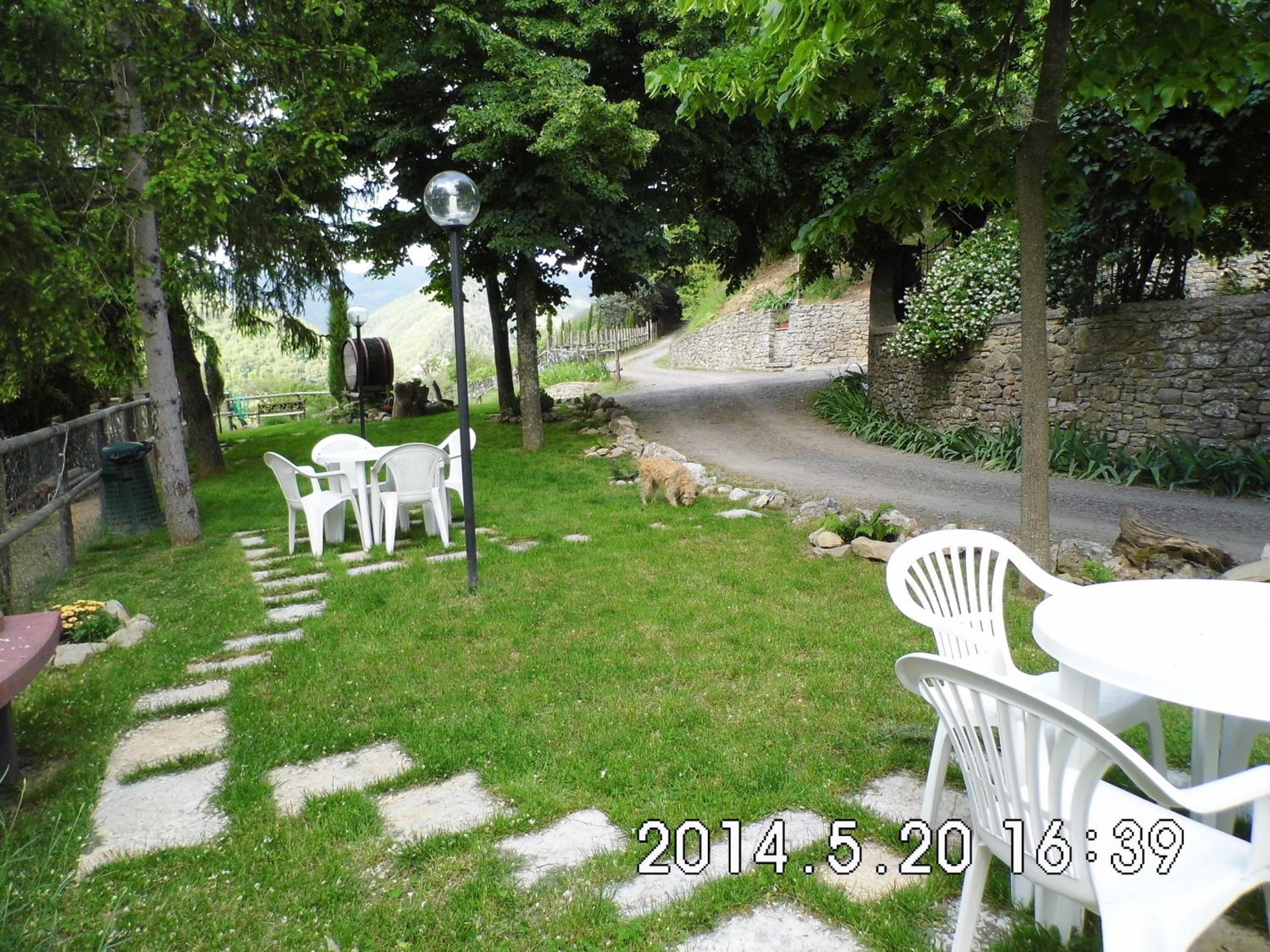 Photo 50