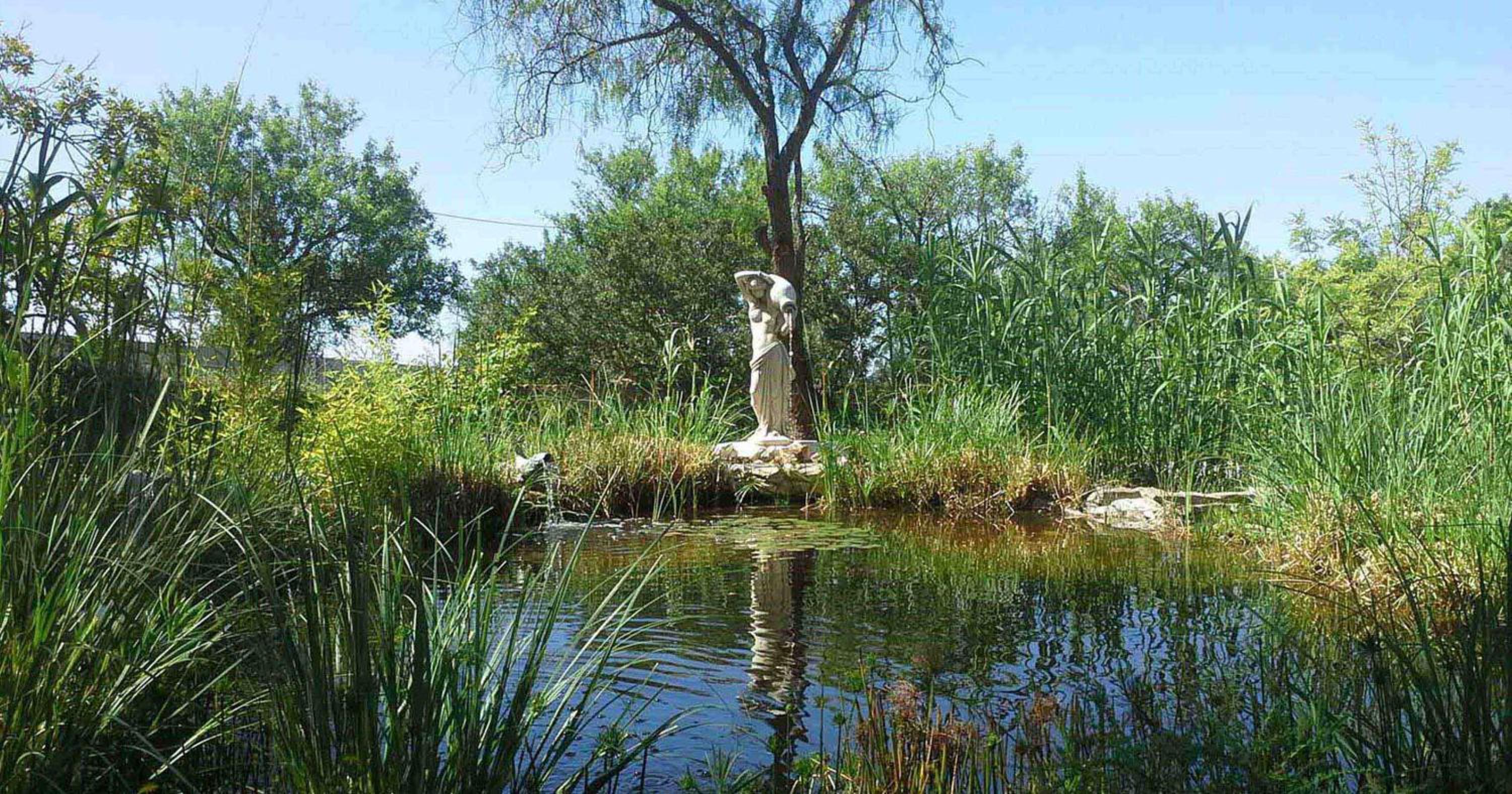 Photo 36