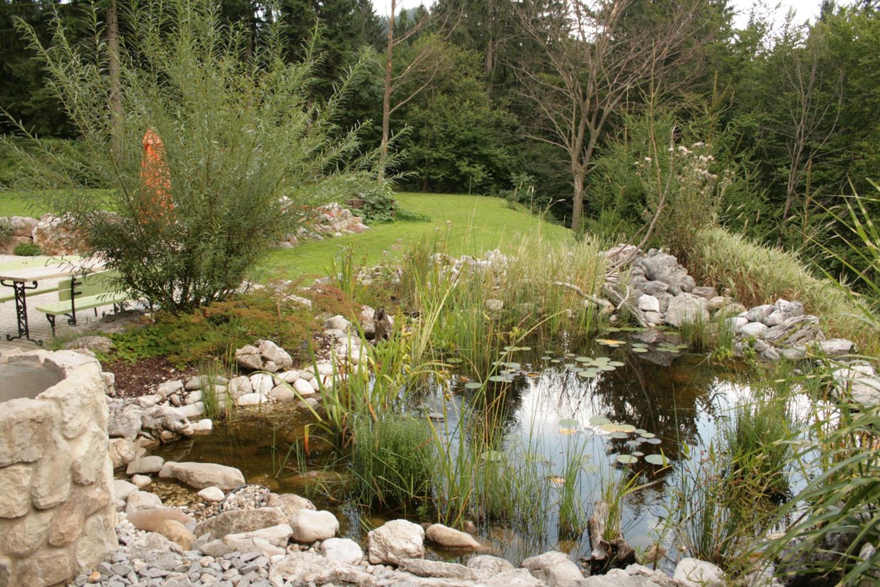 Photo 25