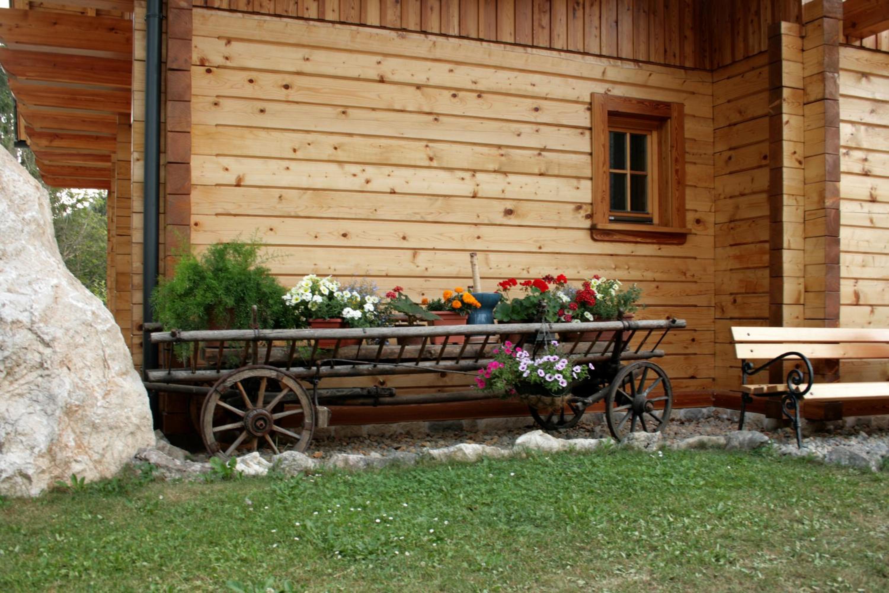 Photo 29