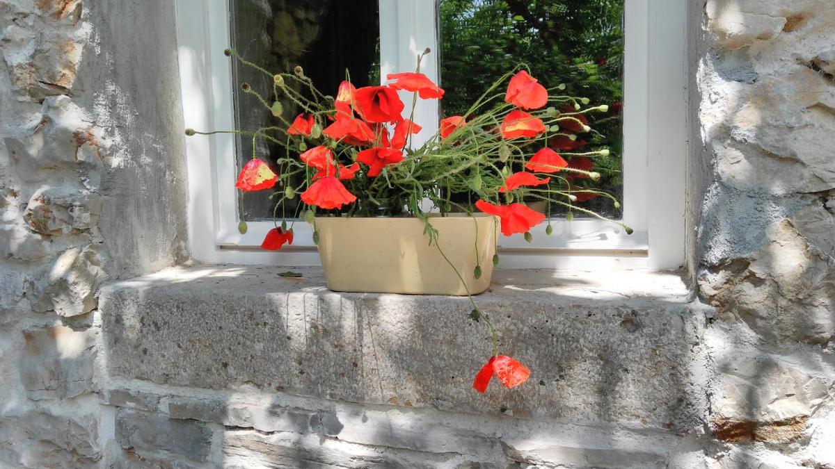 Photo 24
