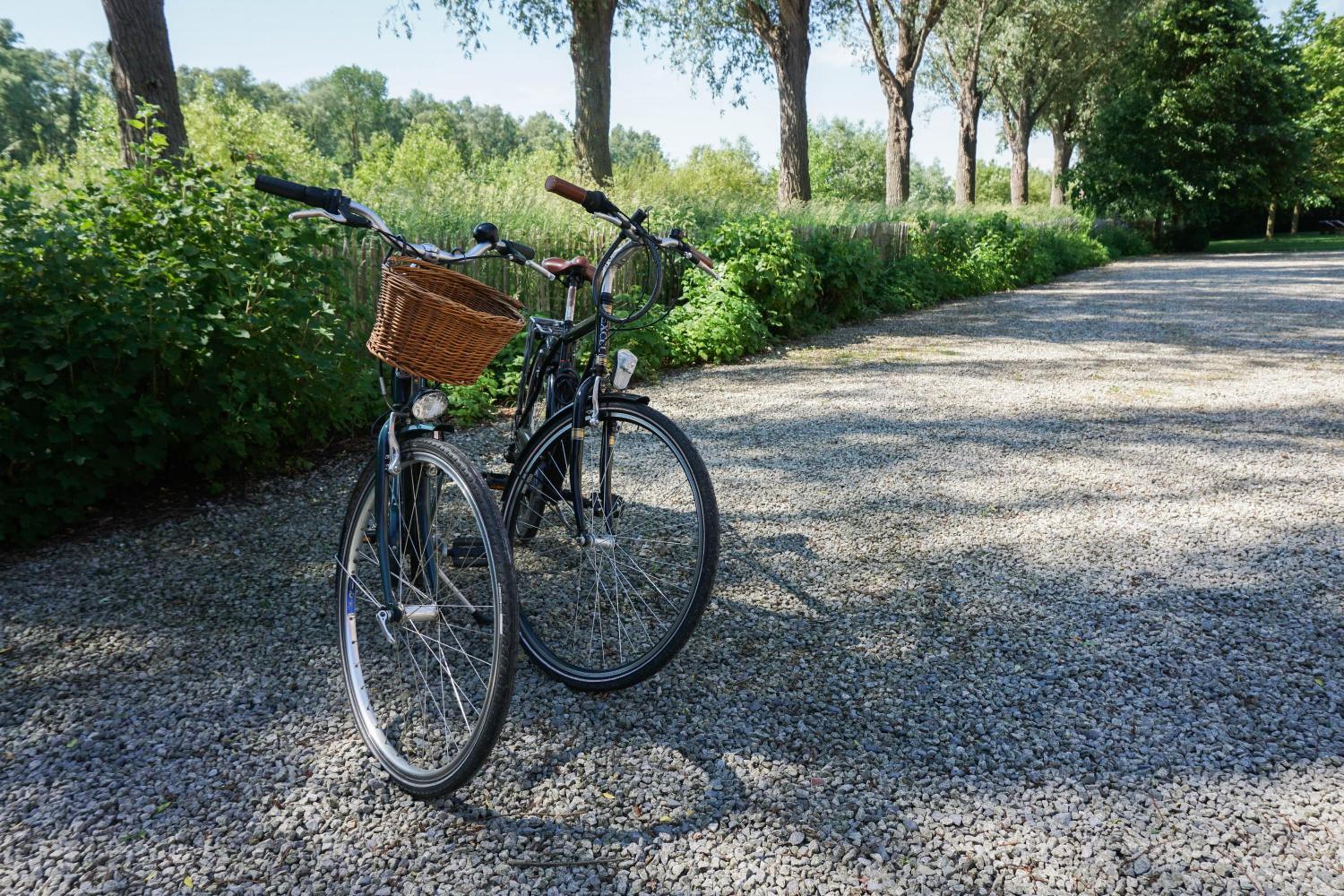 B&B Scheldekant