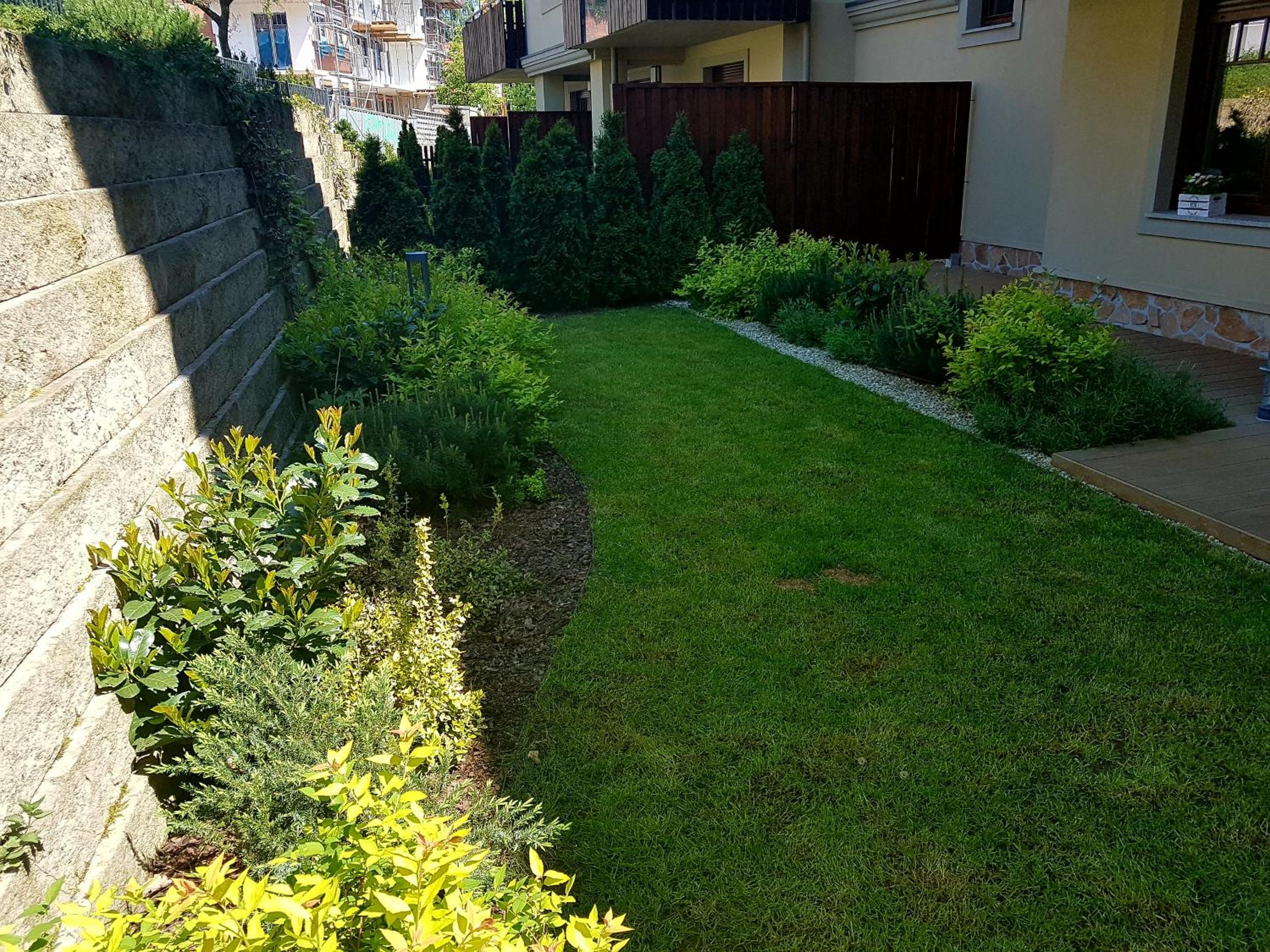 Photo 42