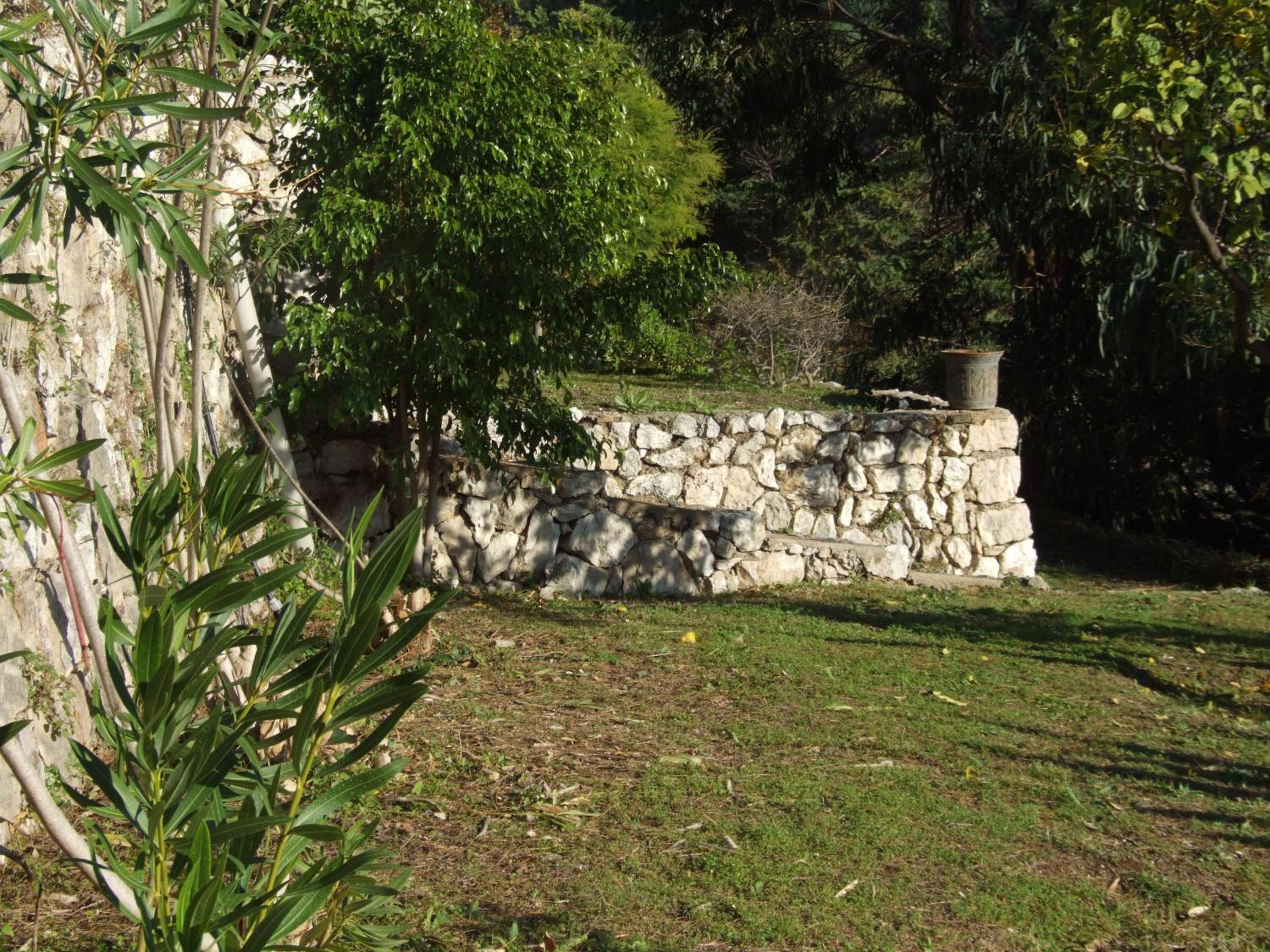 Photo 24