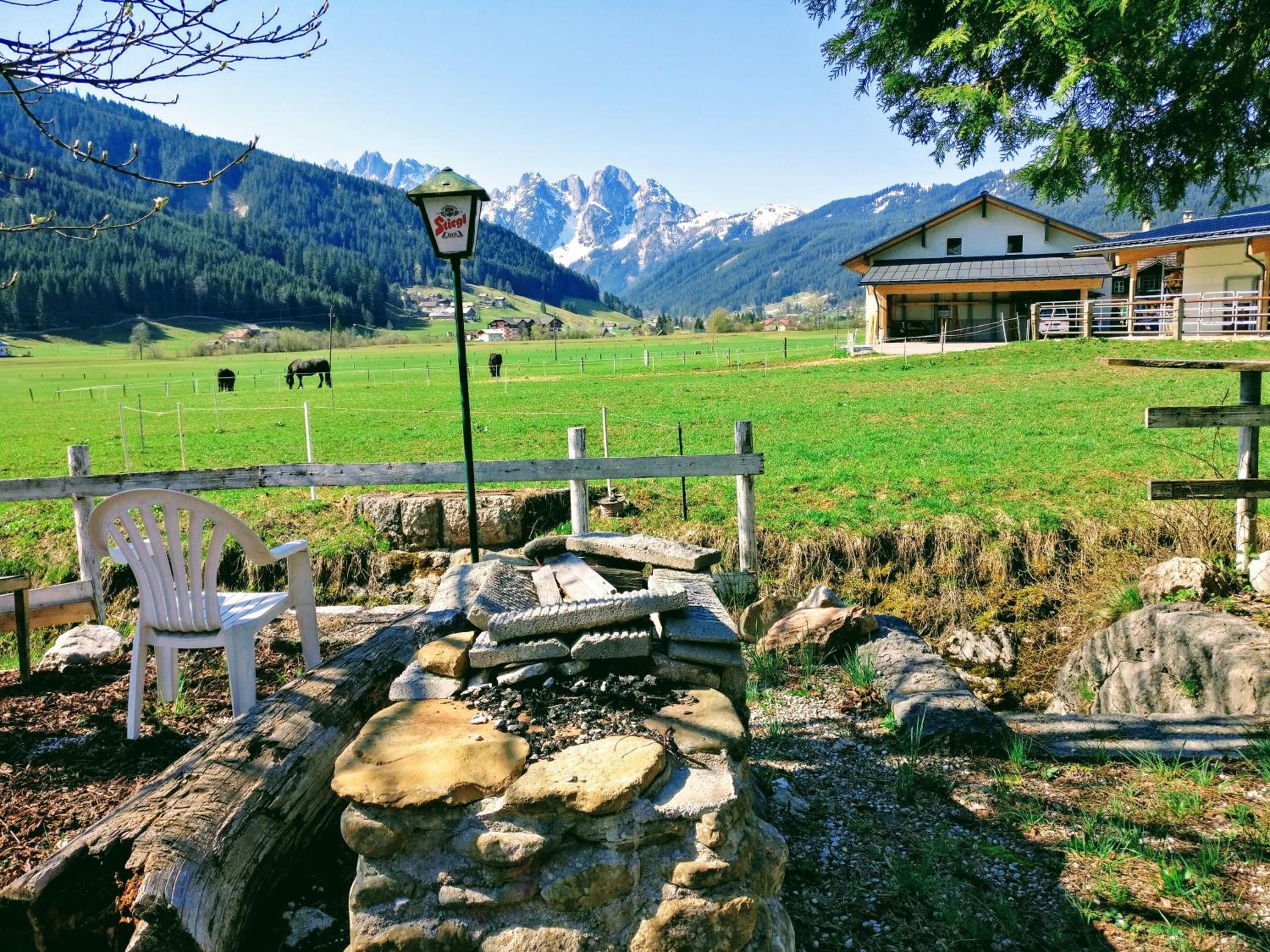 Pension Edelweiss Top 25 - Dachstein West view 3