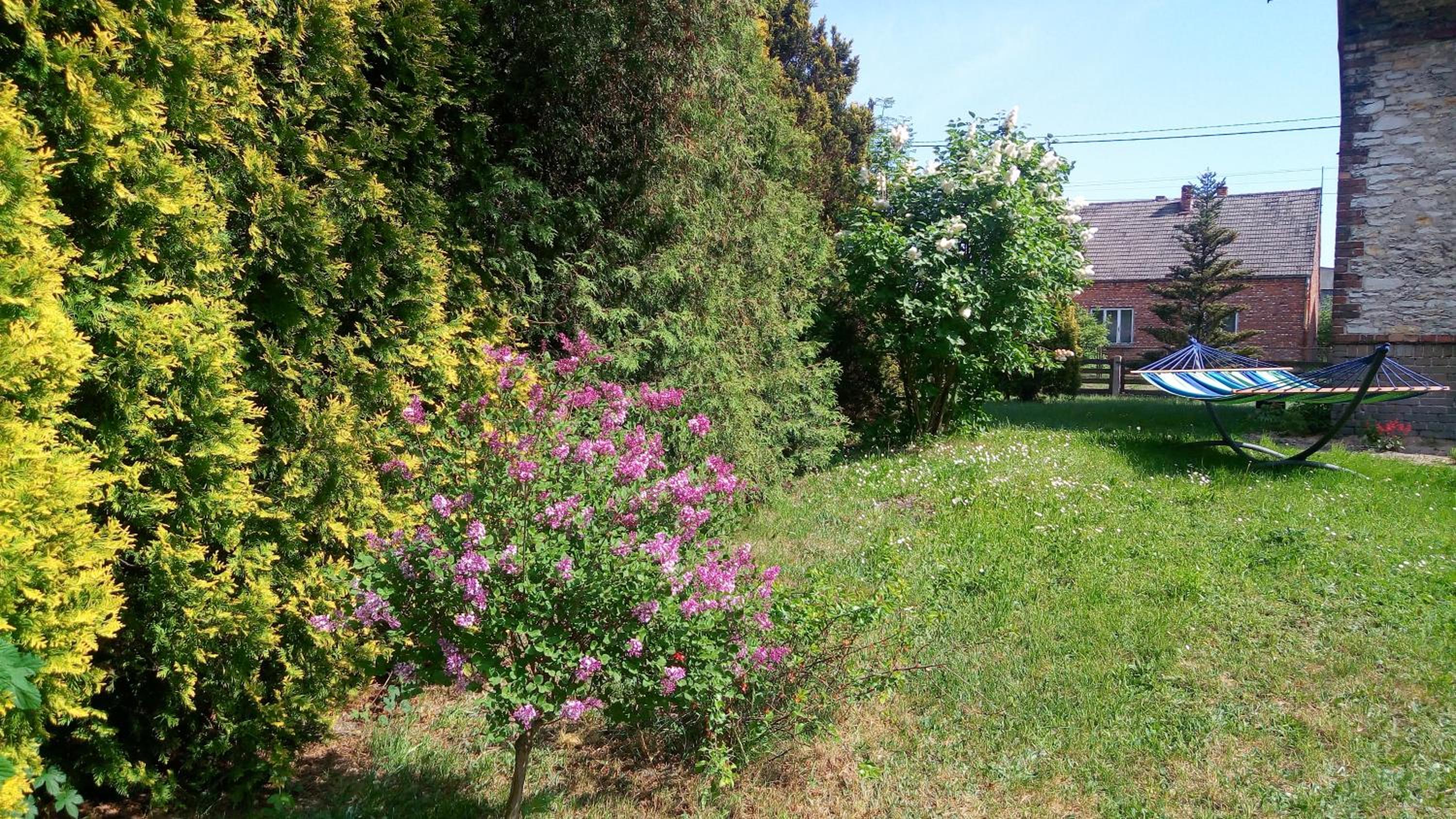 Photo 43