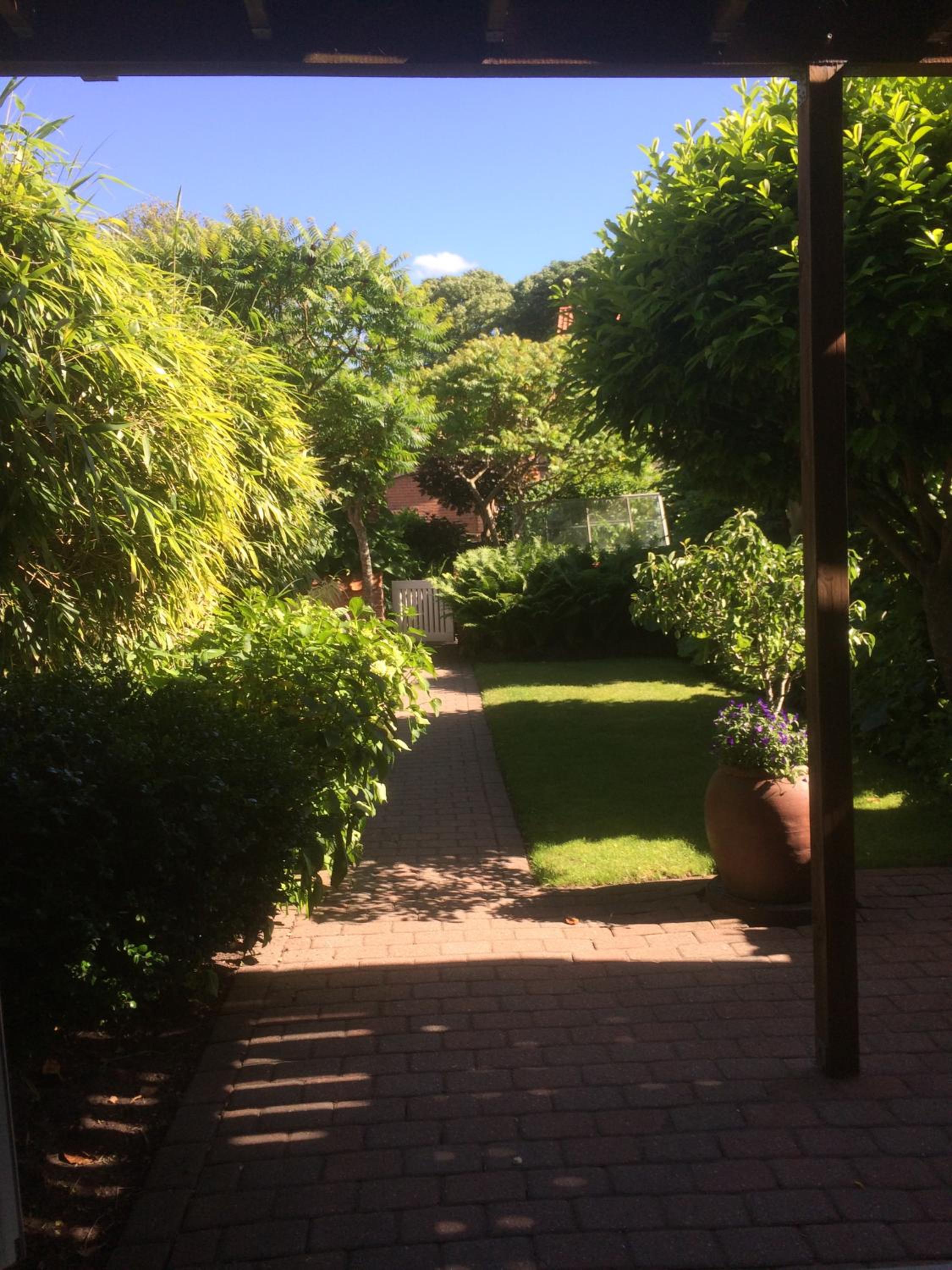 Photo 41