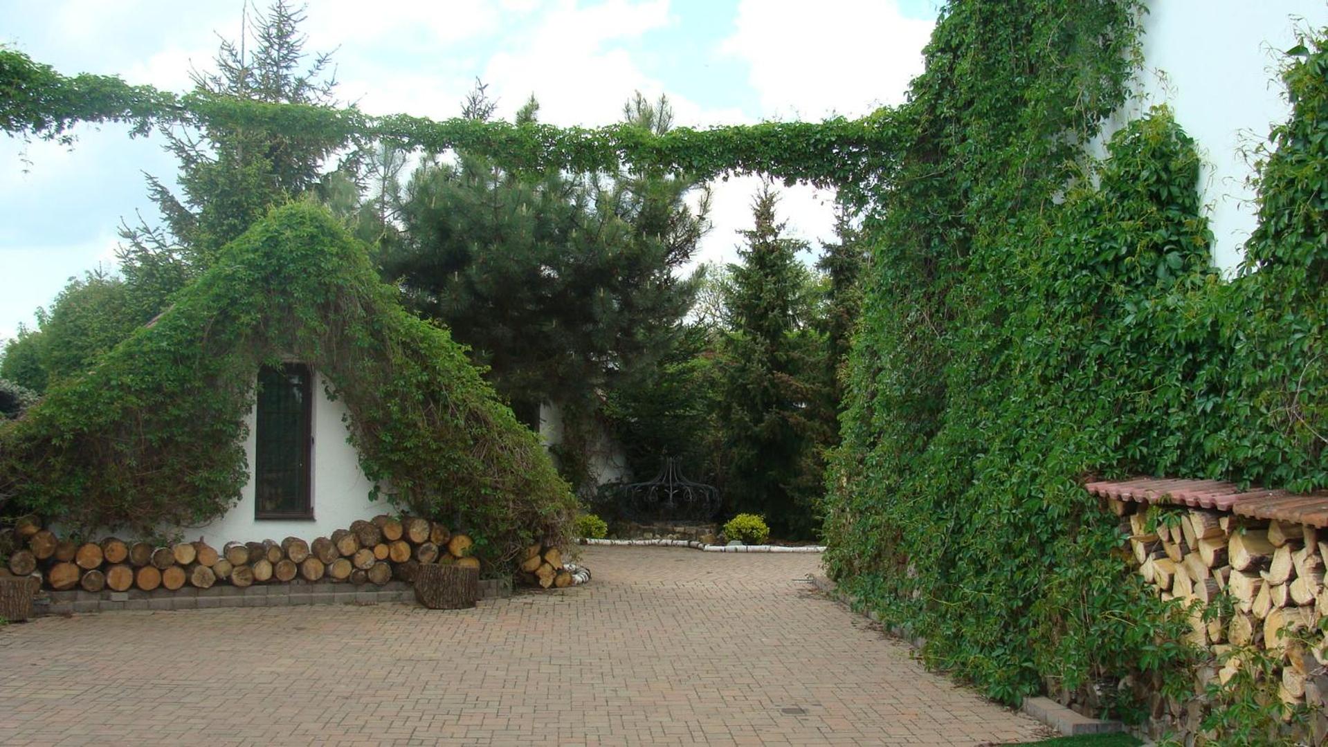 Photo 31