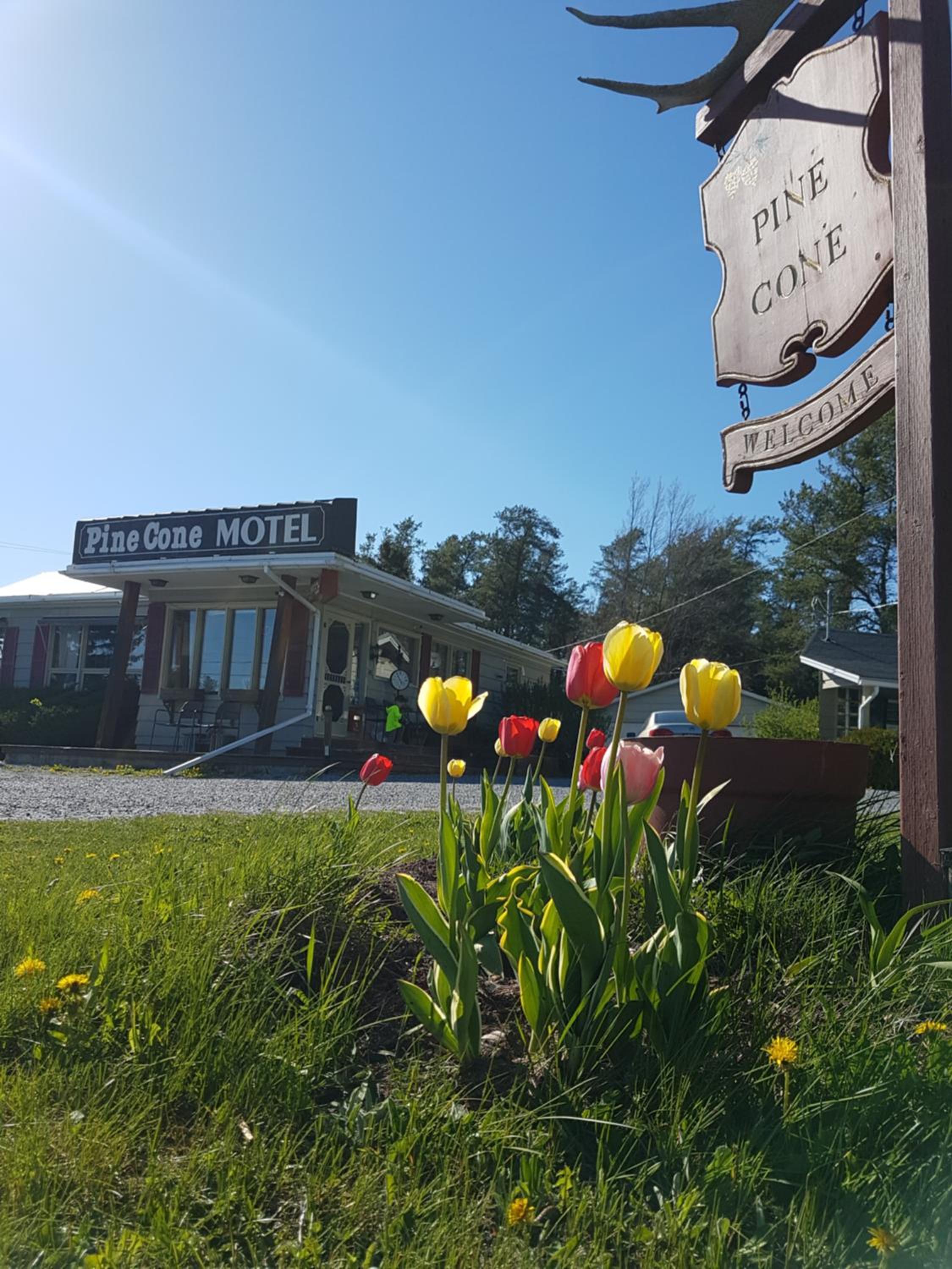 Pinecone Motel
