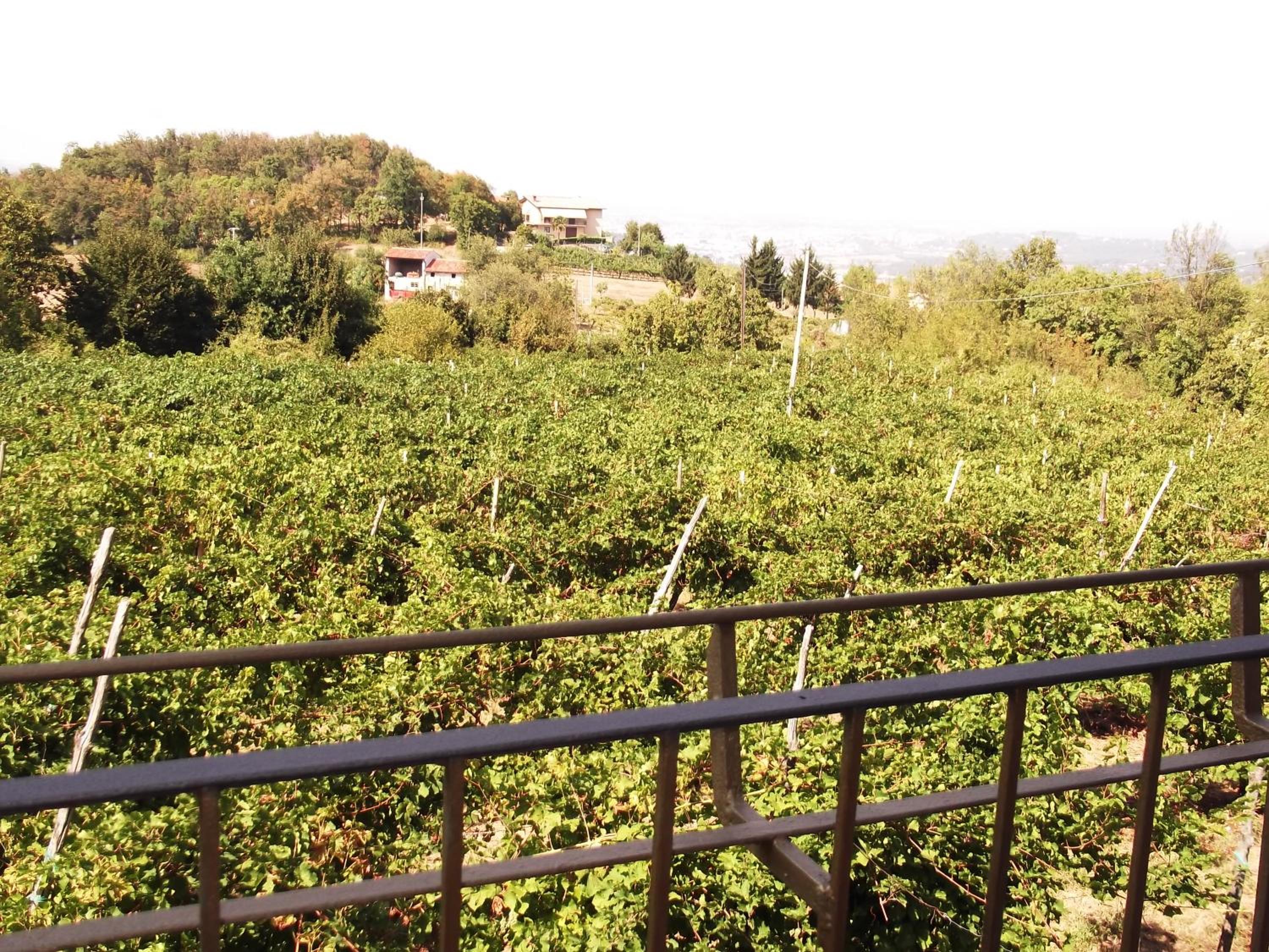 La Panoramica en Perarolo