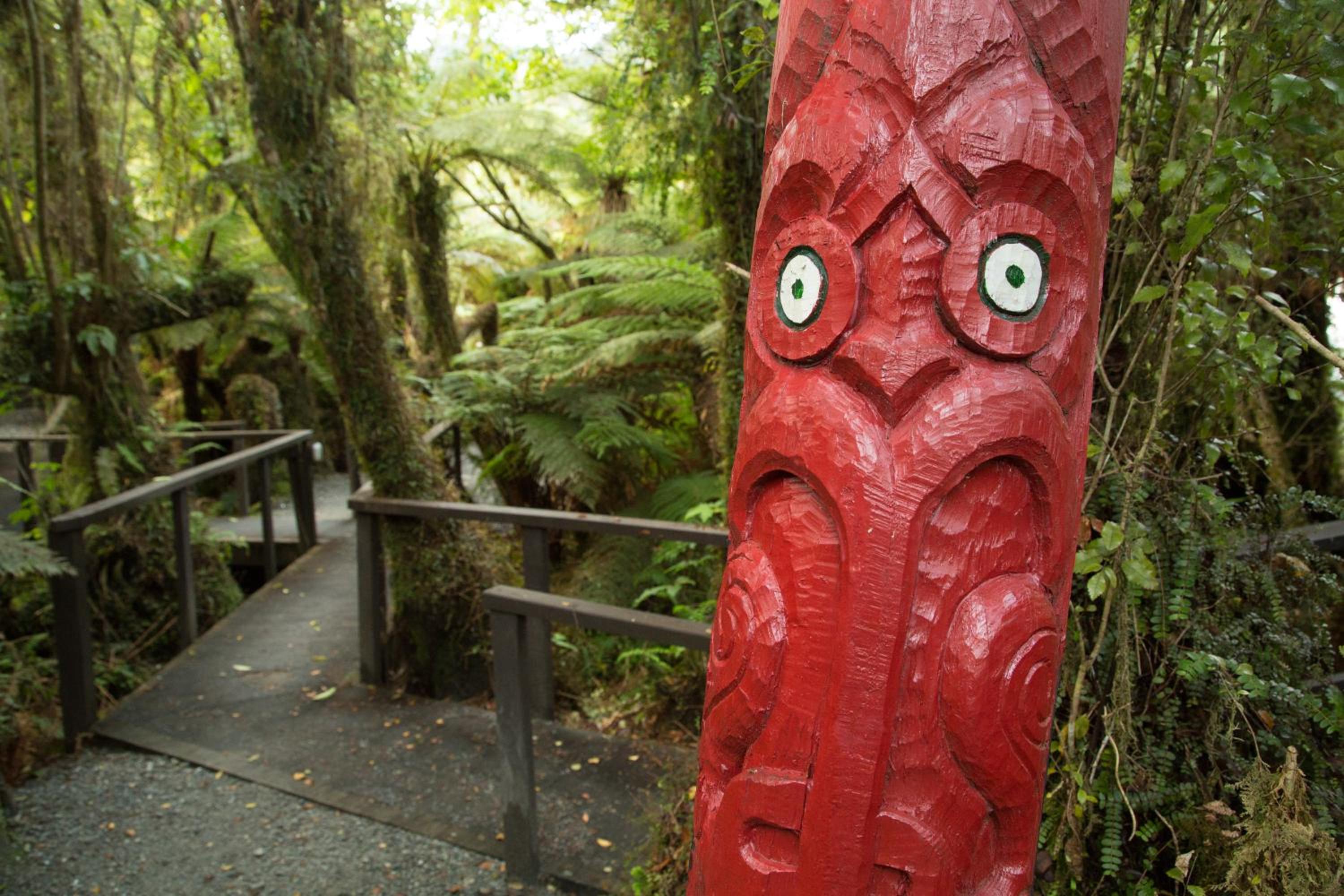 Rainforest Retreat