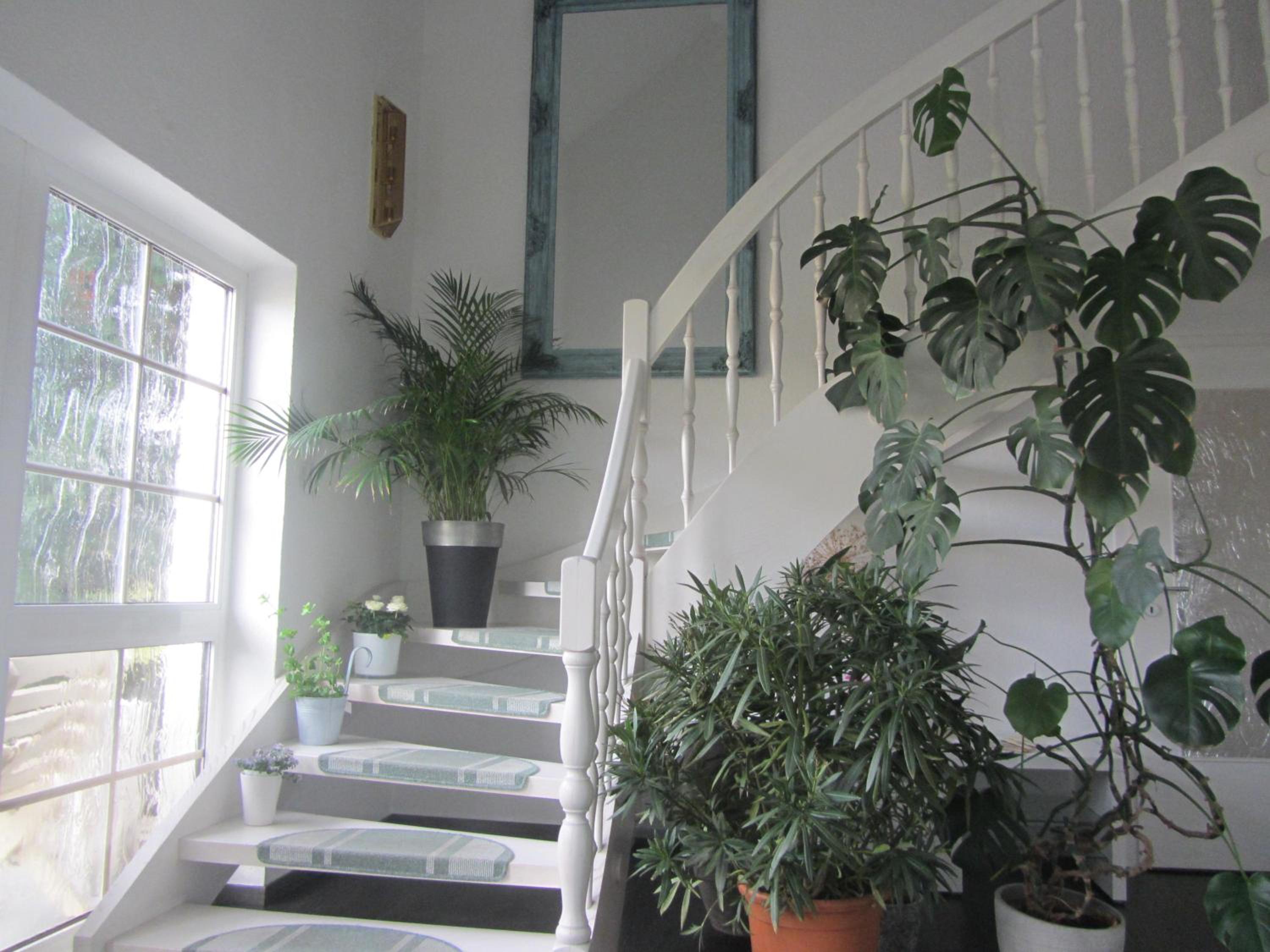 Pension Egerer