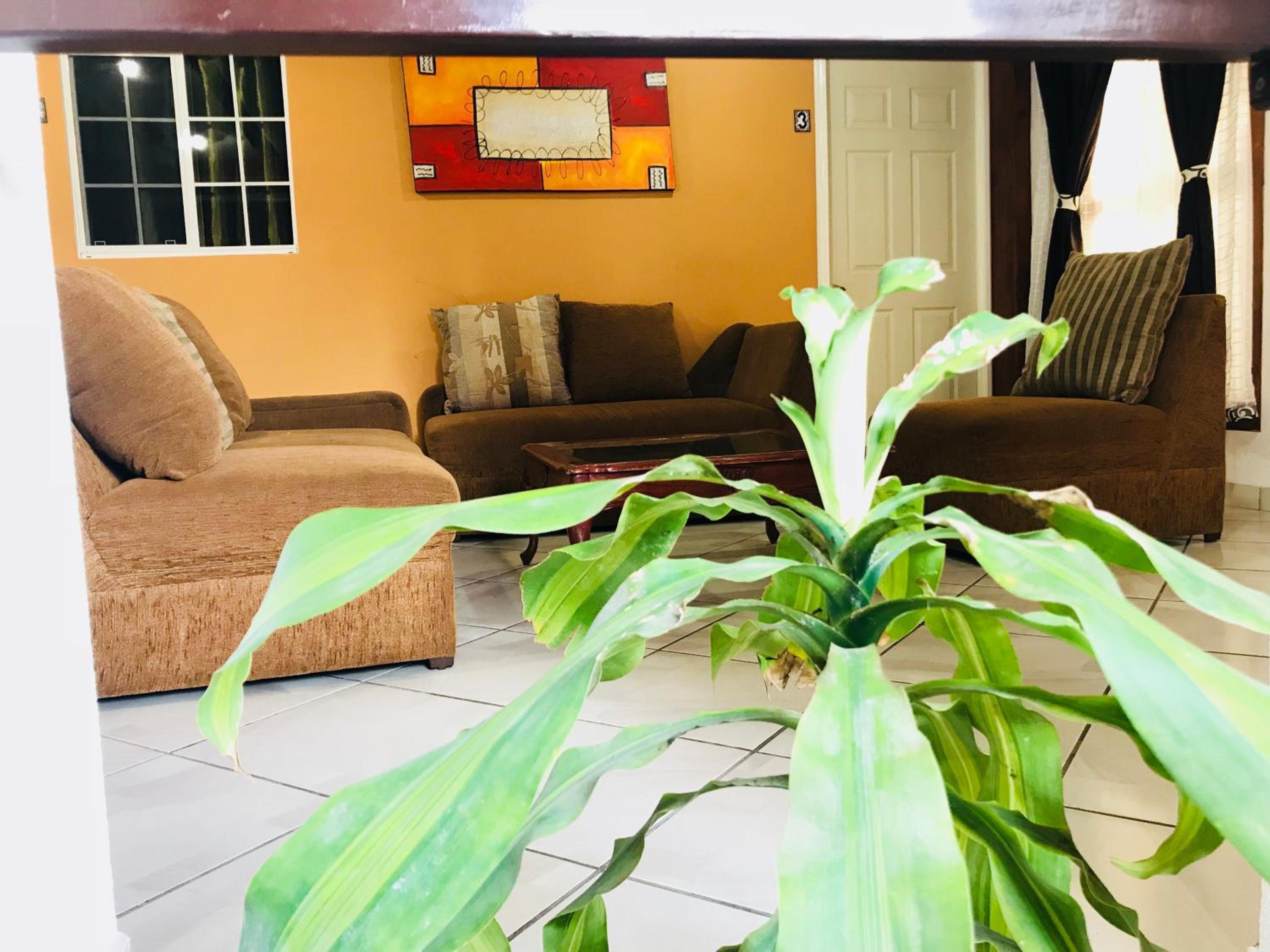 Hotel & Suites Cerro Roj0, photo 151