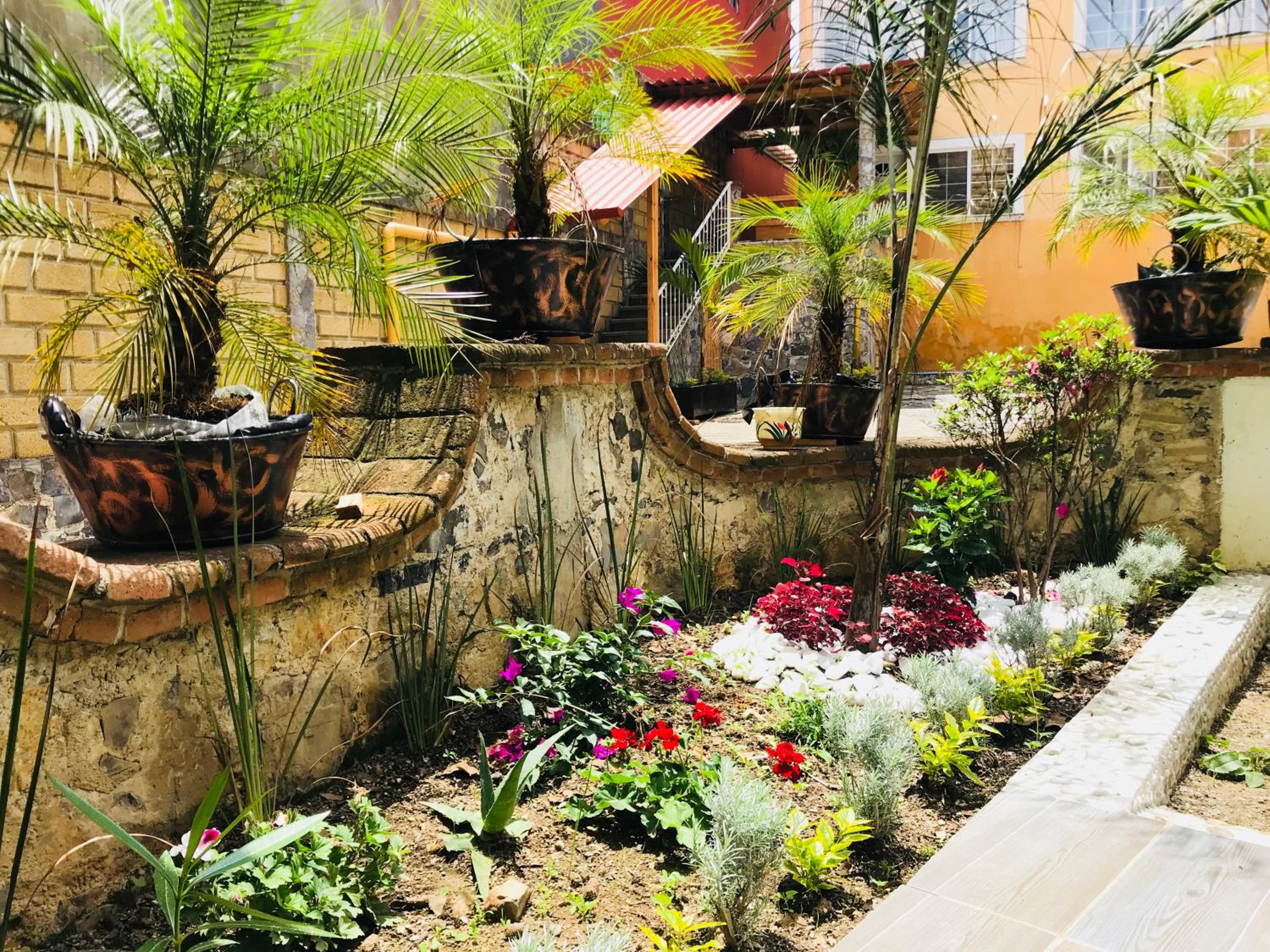 Hotel & Suites Cerro Roj0, photo 122