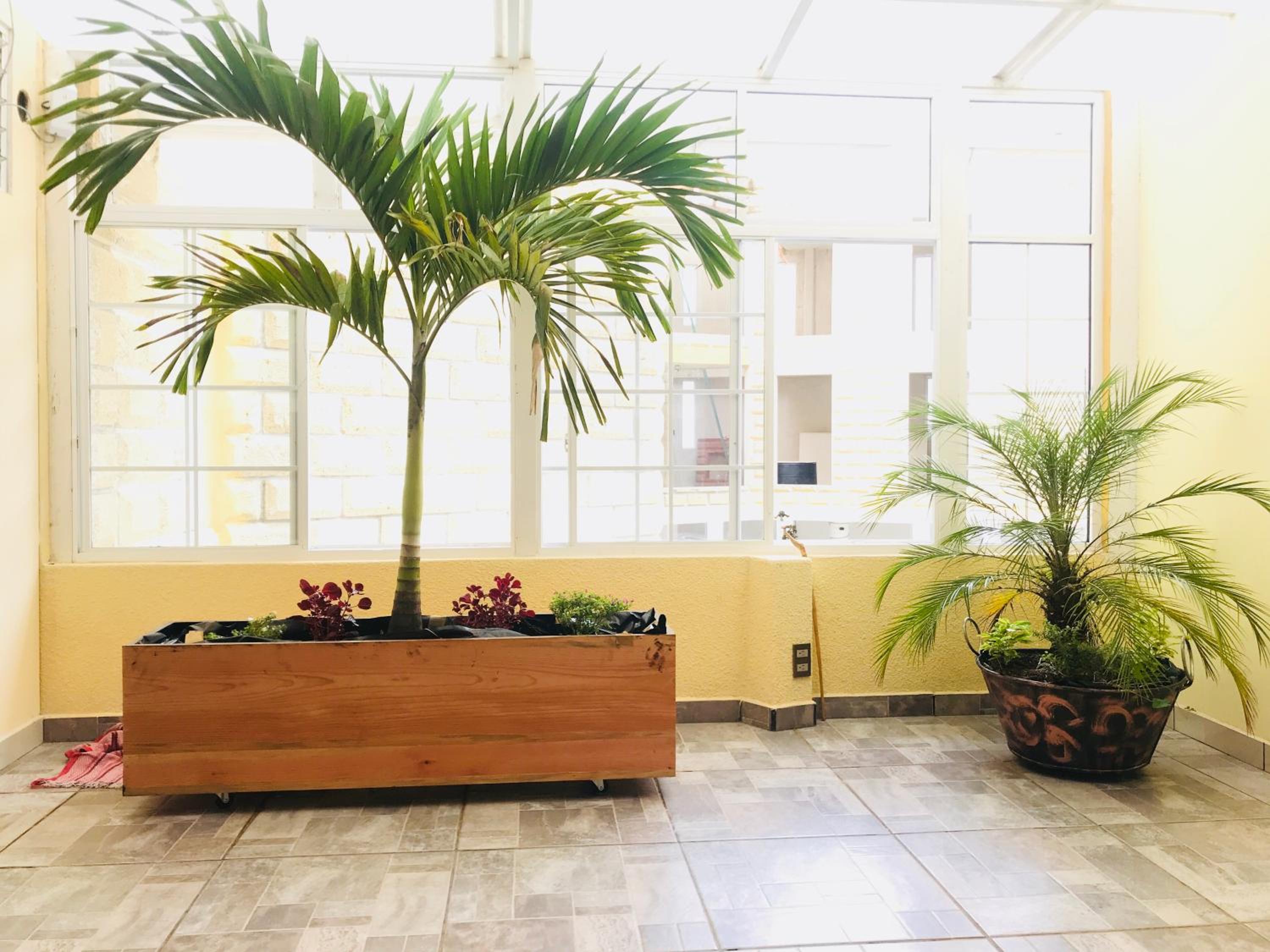 Hotel & Suites Cerro Roj0