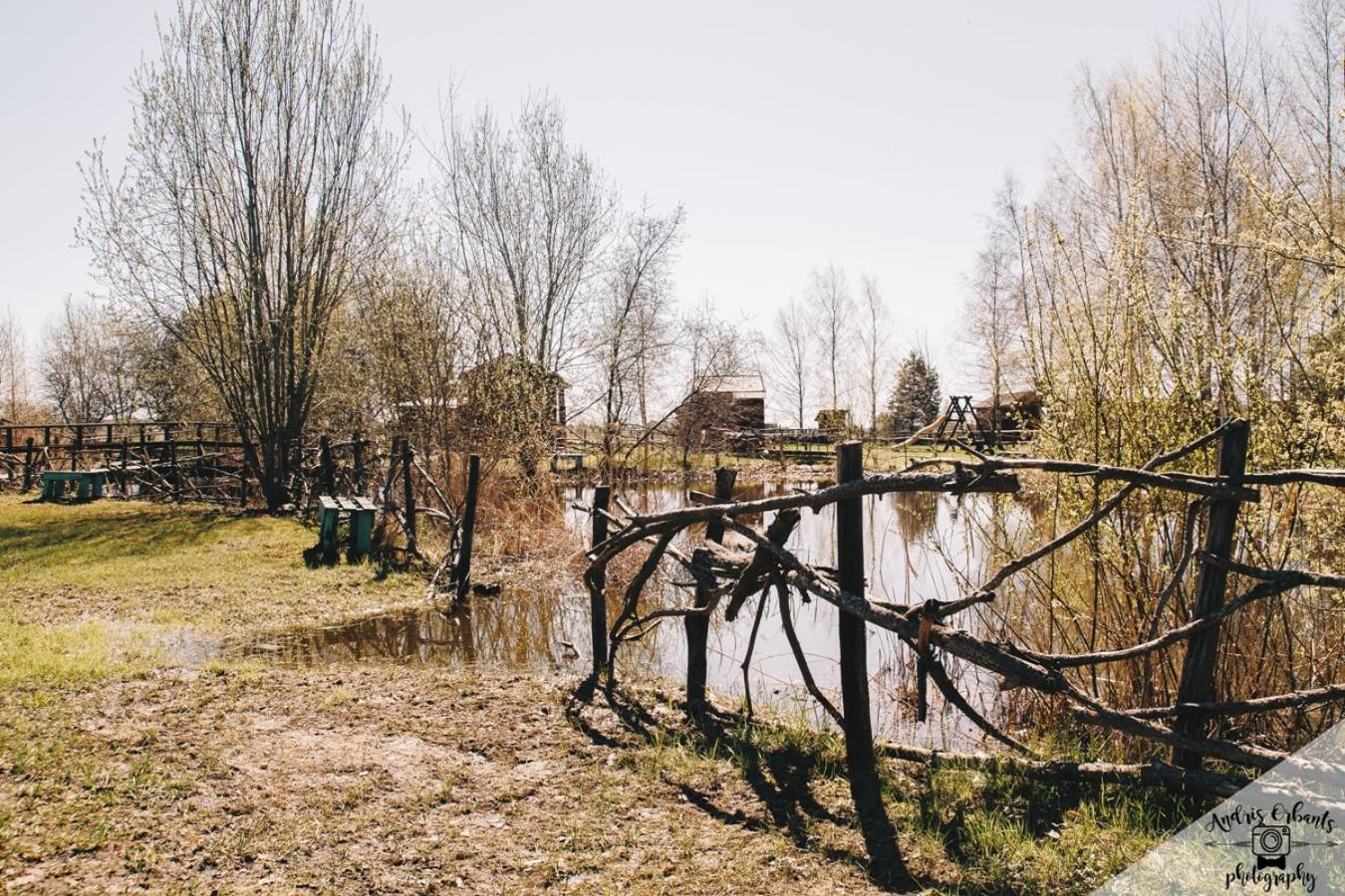 Photo 41