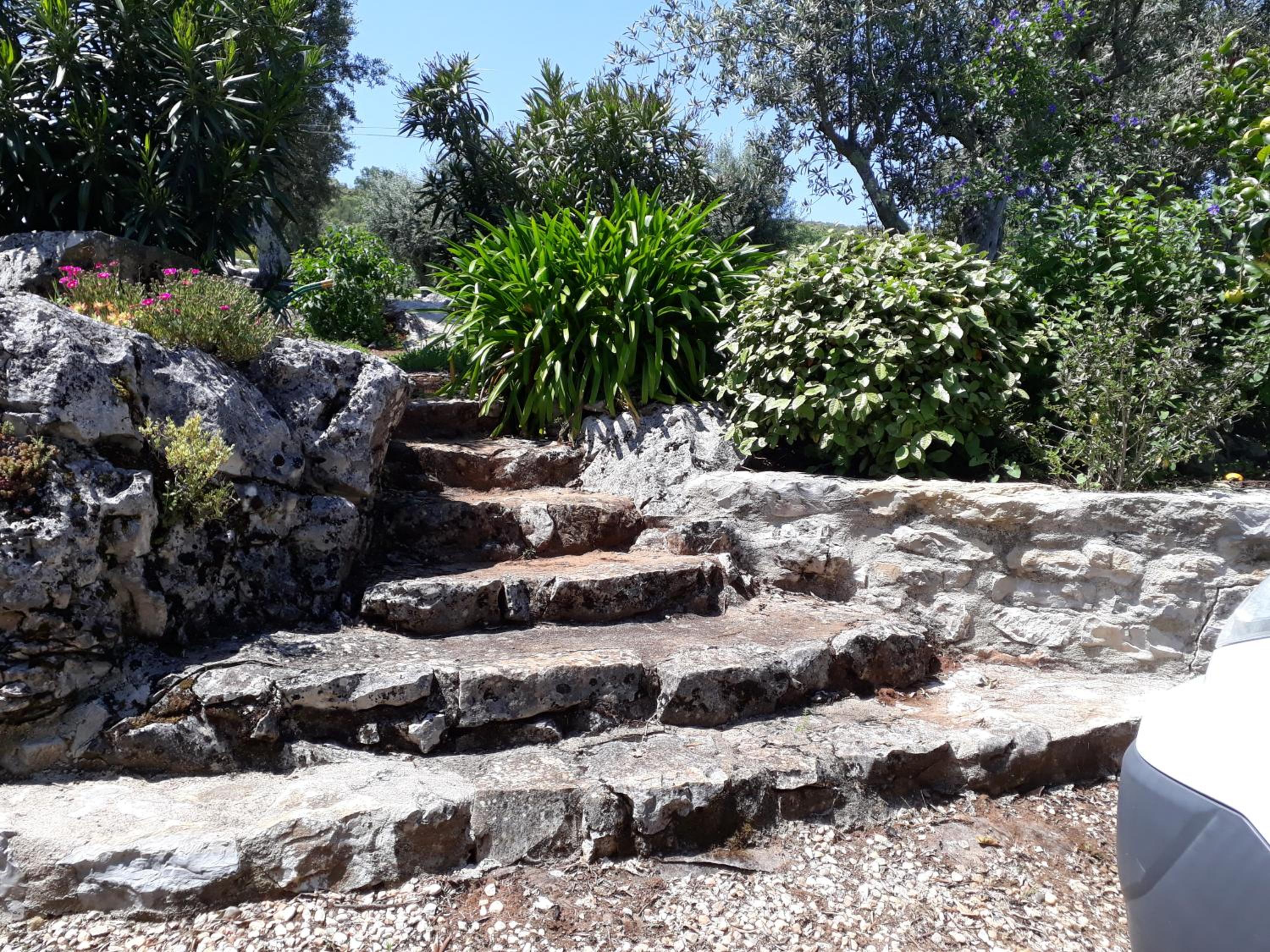 Photo 37