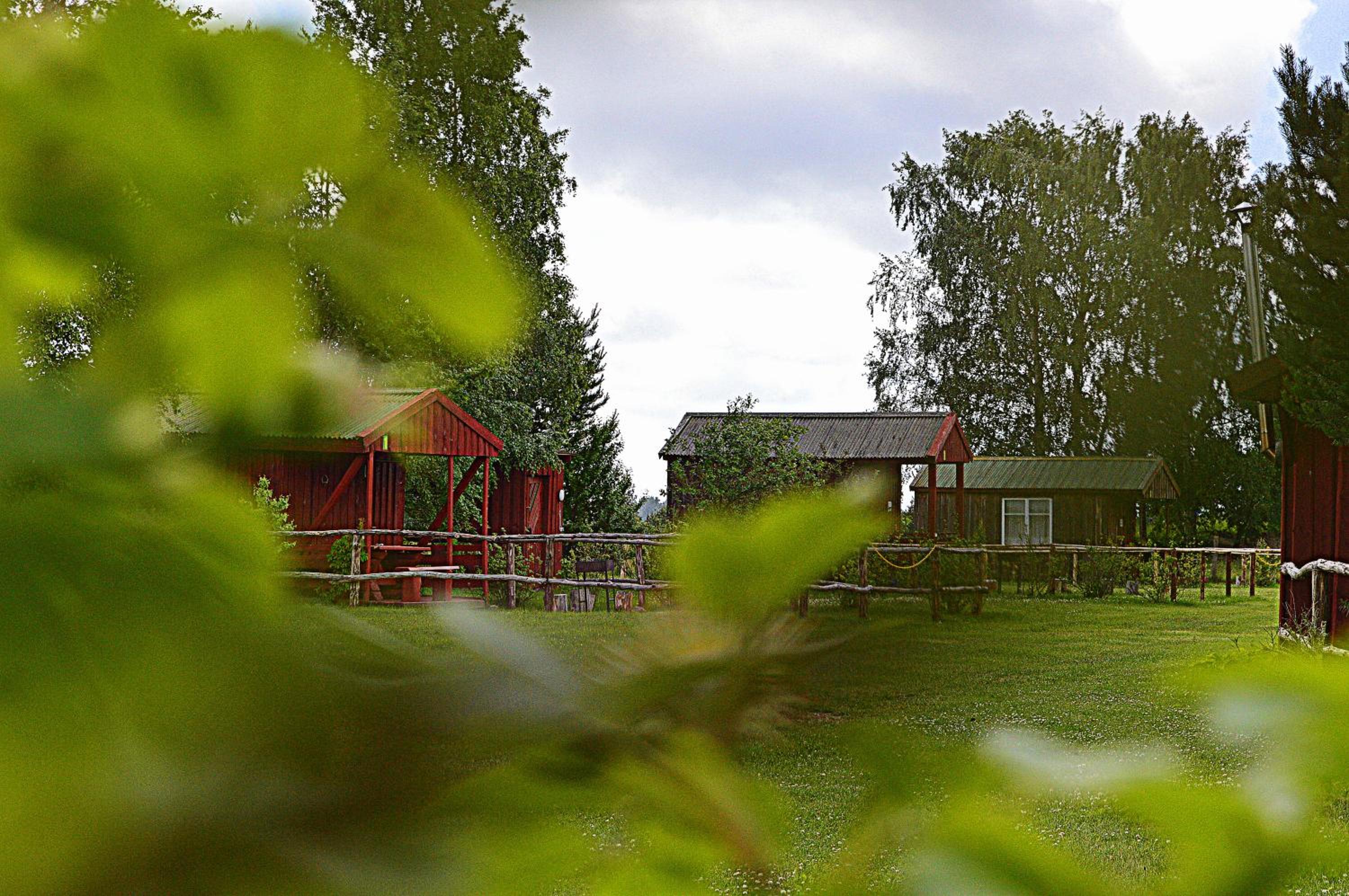 Photo 20