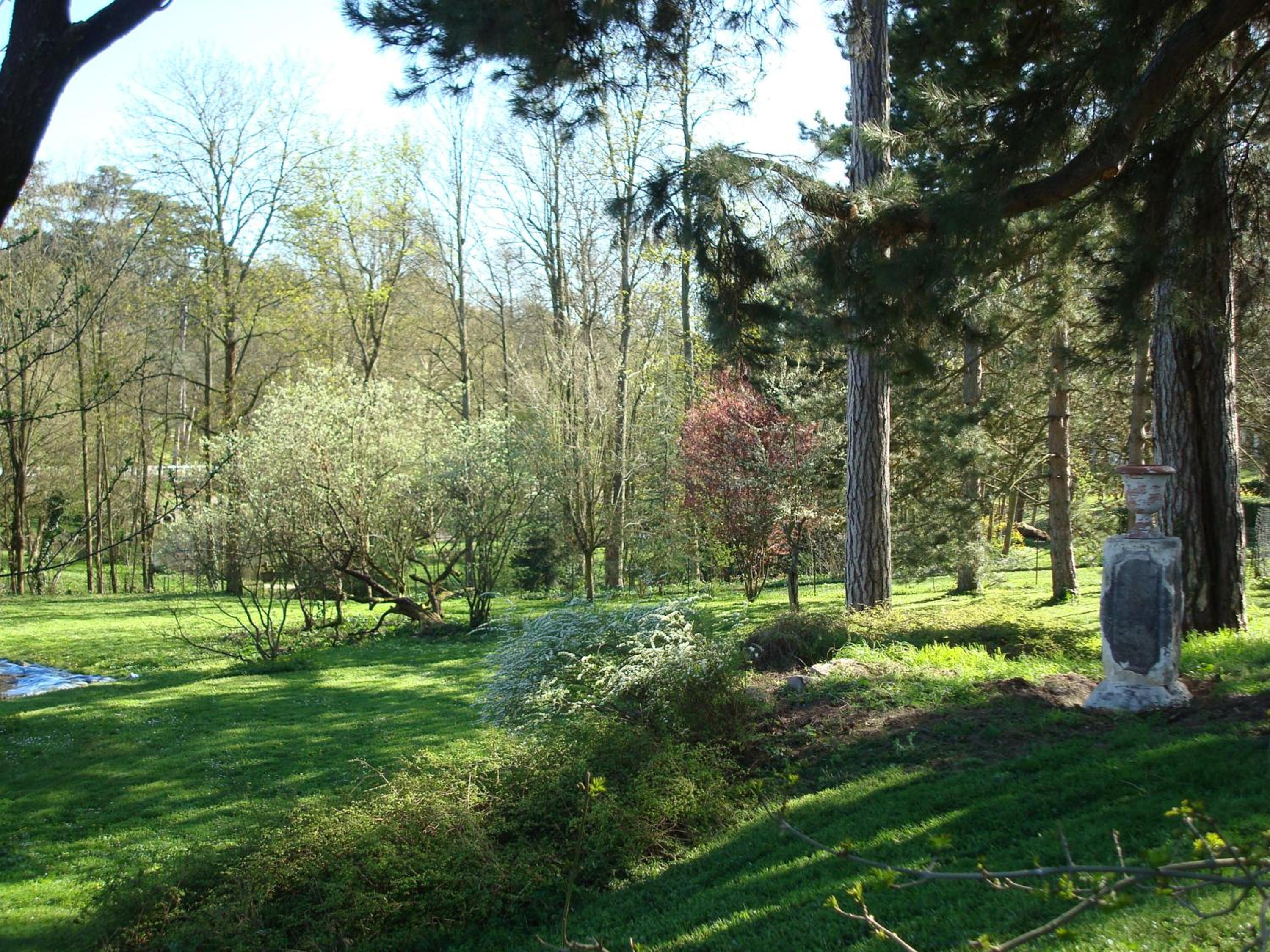 Photo 27